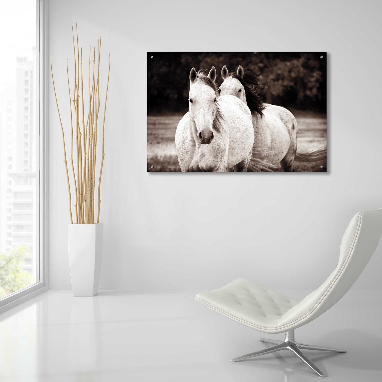 Epic Art 'Two Wild Horses Sepia' by Debra Van Swearingen, Acrylic Glass Wall Art,36x24