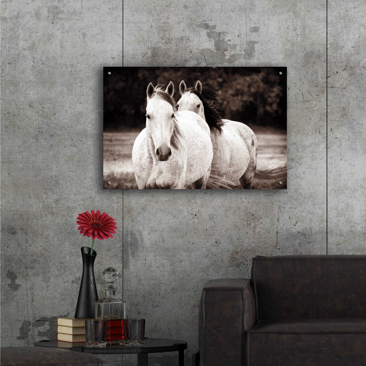 Epic Art 'Two Wild Horses Sepia' by Debra Van Swearingen, Acrylic Glass Wall Art,36x24