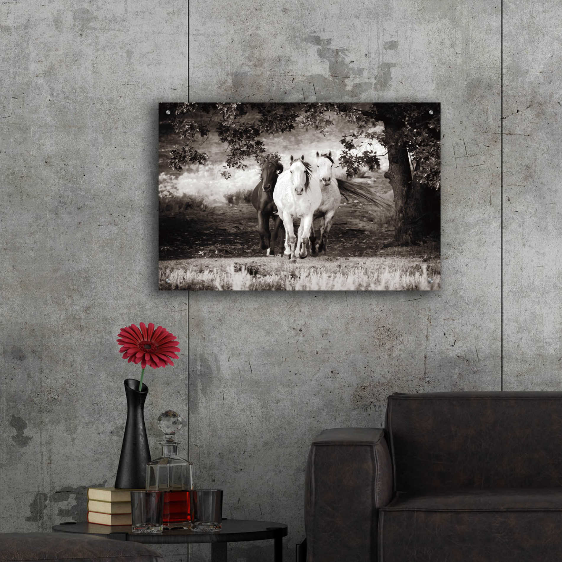 Epic Art 'Three Wild Horses Sepia' by Debra Van Swearingen, Acrylic Glass Wall Art,36x24