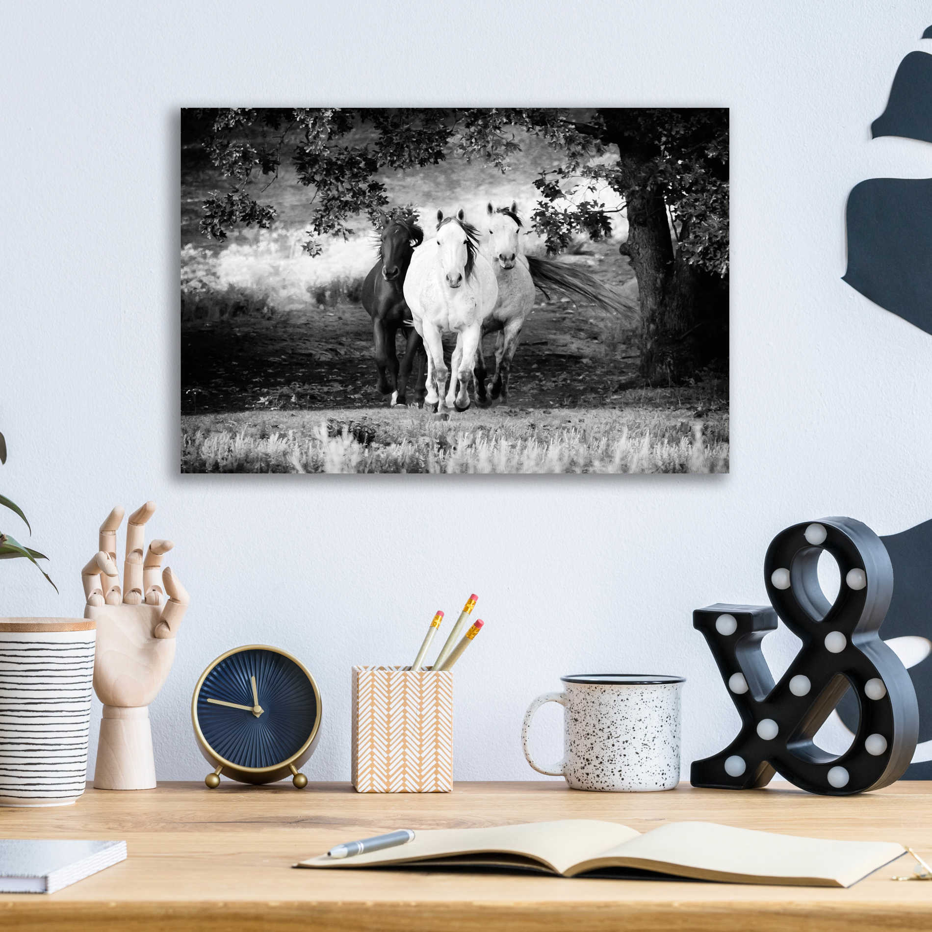 Epic Art 'Three Wild Horses BW' by Debra Van Swearingen, Acrylic Glass Wall Art,16x12