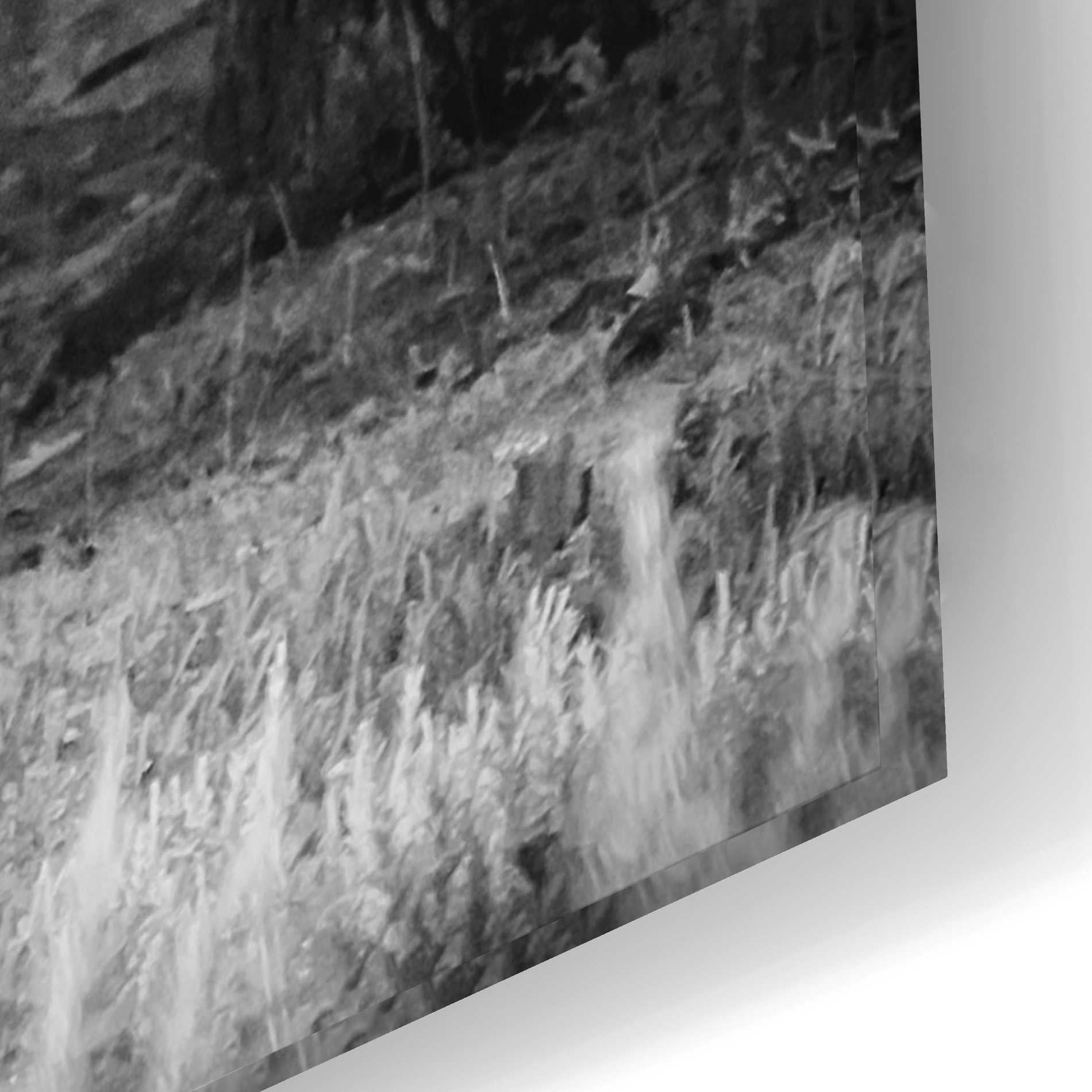 Epic Art 'Three Wild Horses BW' by Debra Van Swearingen, Acrylic Glass Wall Art,24x16