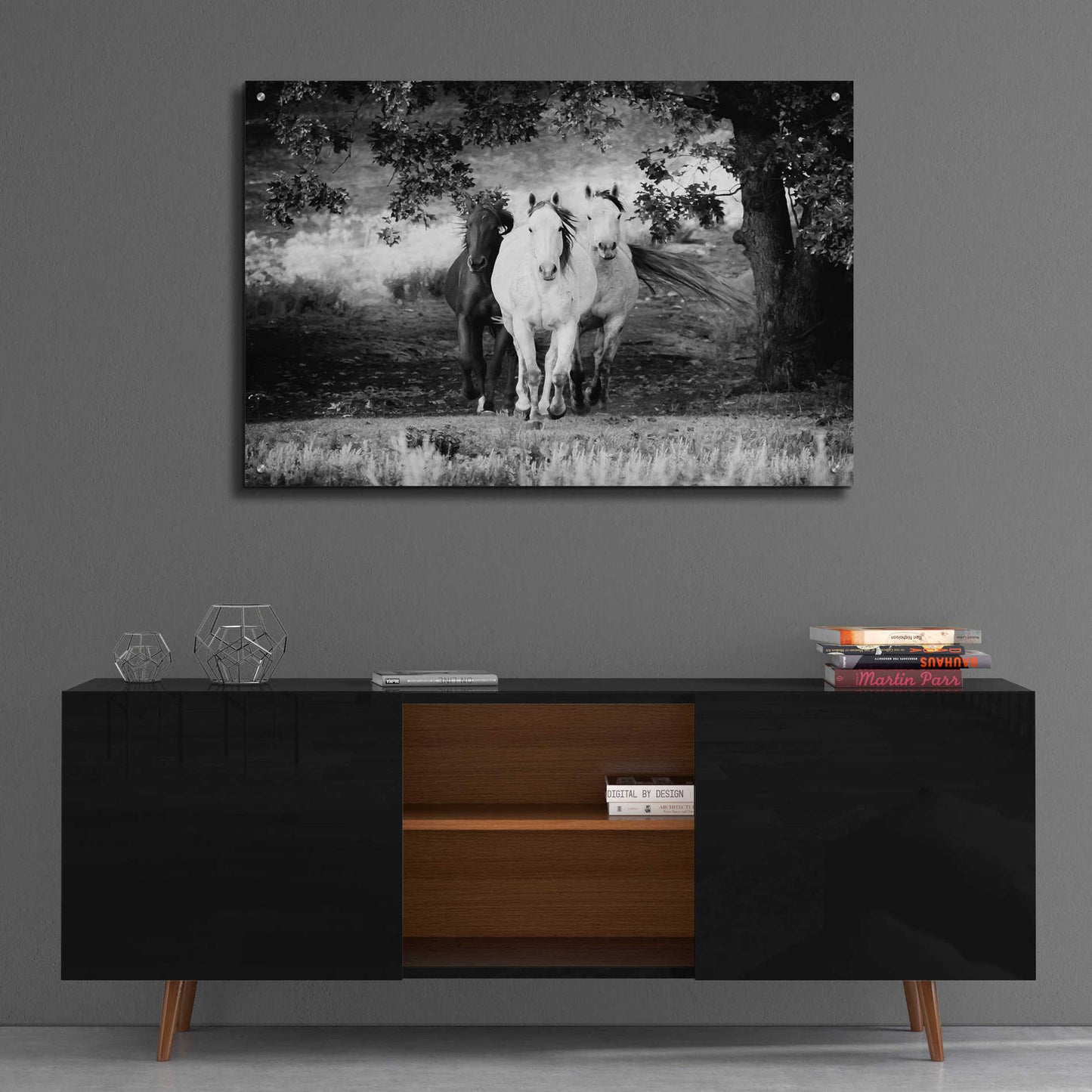 Epic Art 'Three Wild Horses BW' by Debra Van Swearingen, Acrylic Glass Wall Art,36x24