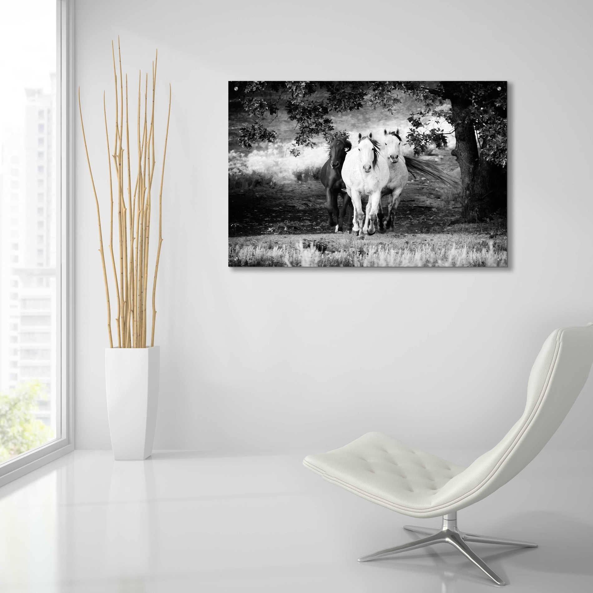 Epic Art 'Three Wild Horses BW' by Debra Van Swearingen, Acrylic Glass Wall Art,36x24