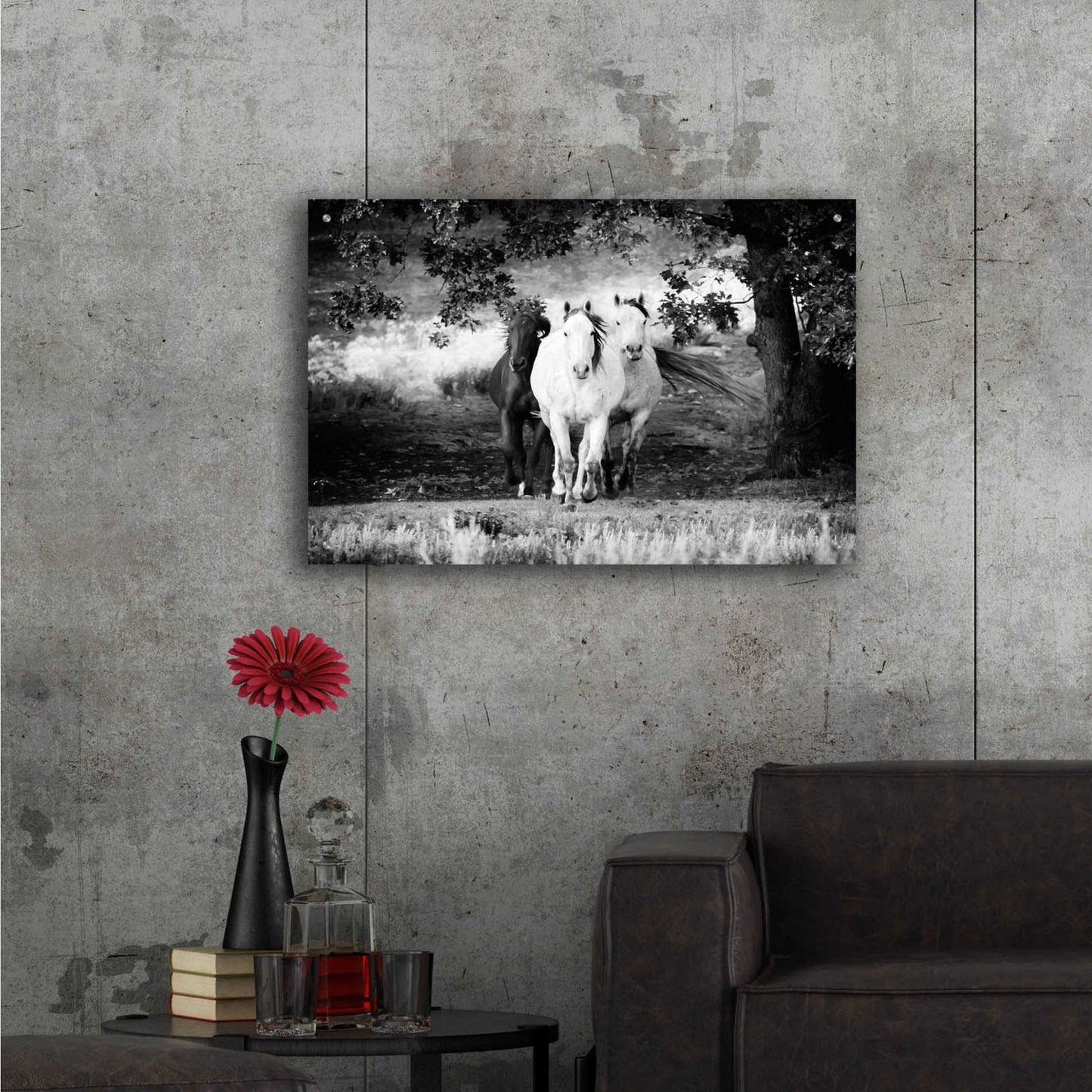 Epic Art 'Three Wild Horses BW' by Debra Van Swearingen, Acrylic Glass Wall Art,36x24