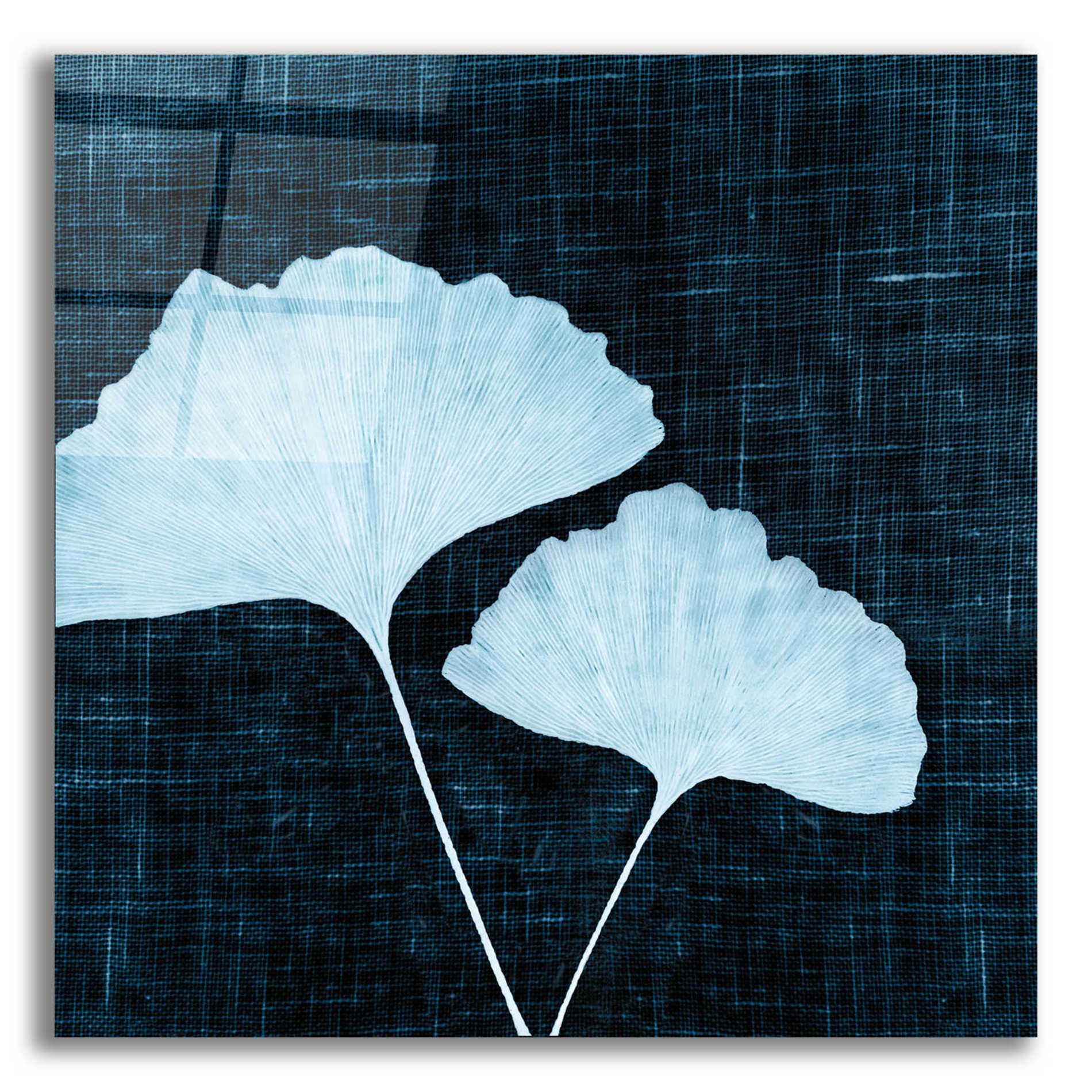 Epic Art 'Leaves on Linen I' by Debra Van Swearingen, Acrylic Glass Wall Art,12x12