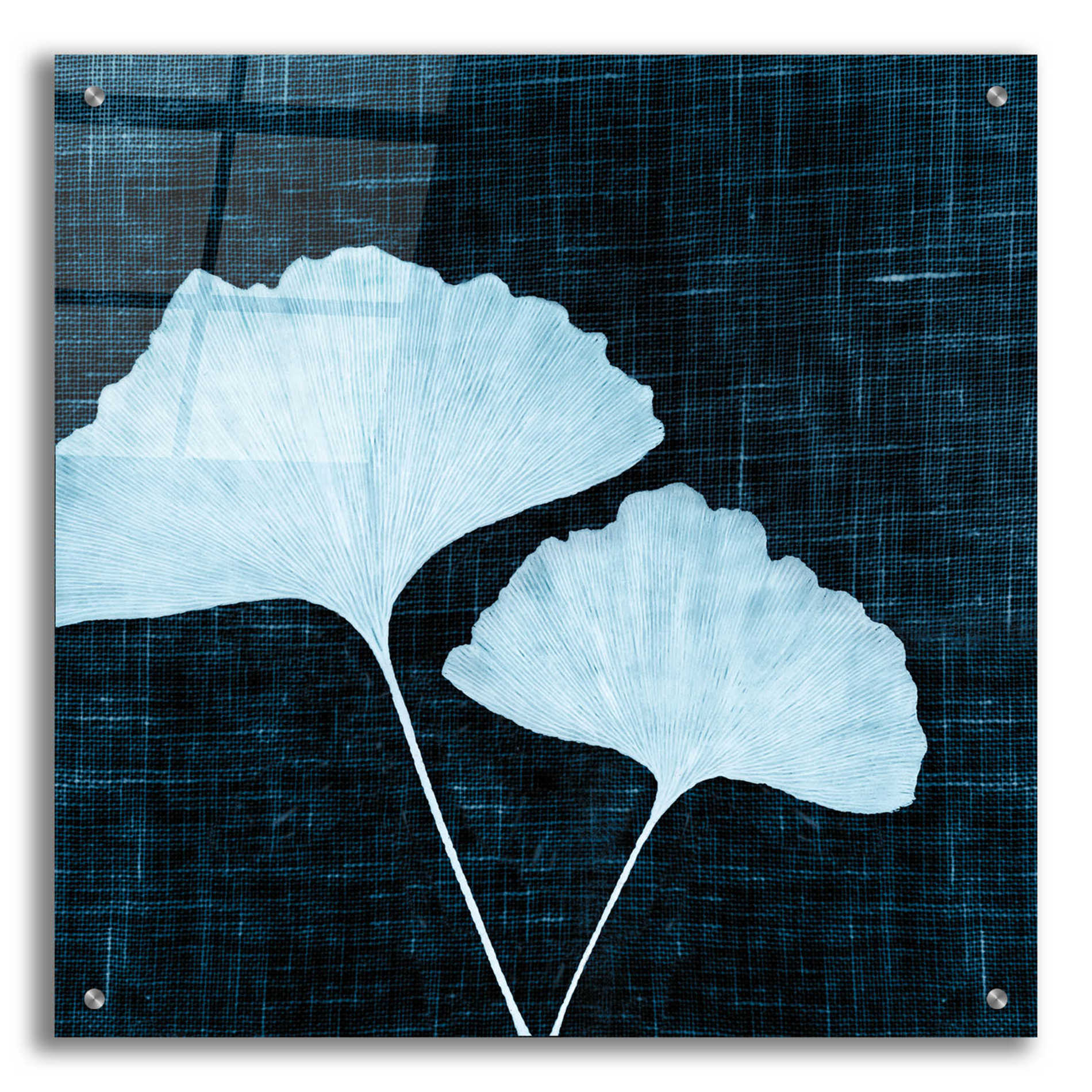Epic Art 'Leaves on Linen I' by Debra Van Swearingen, Acrylic Glass Wall Art,24x24