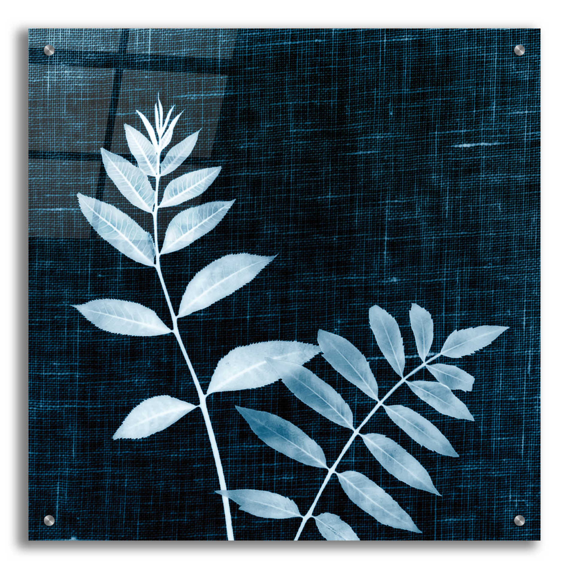 Epic Art 'Leaves on Linen II' by Debra Van Swearingen, Acrylic Glass Wall Art,24x24