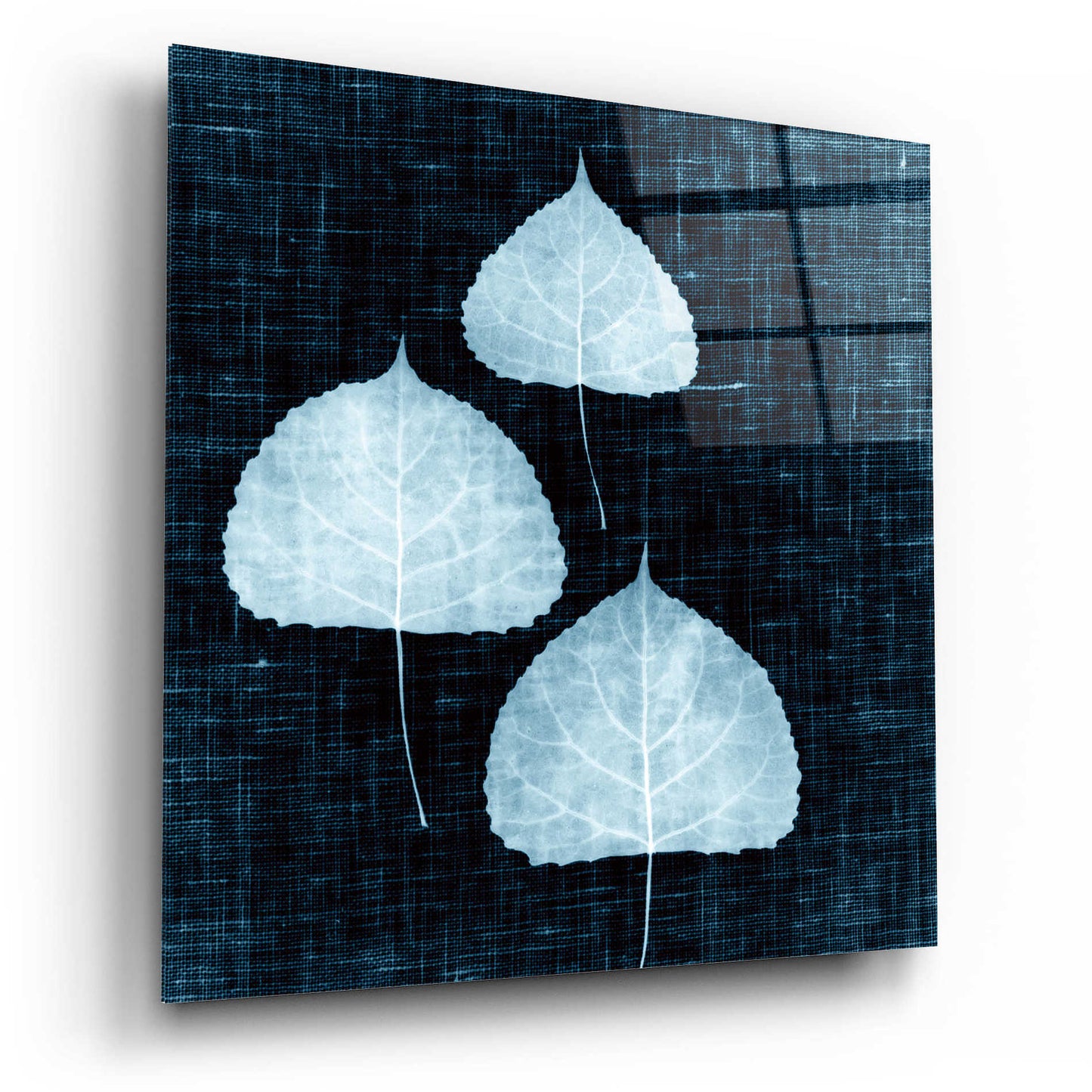 Epic Art 'Leaves on Linen III' by Debra Van Swearingen, Acrylic Glass Wall Art,12x12