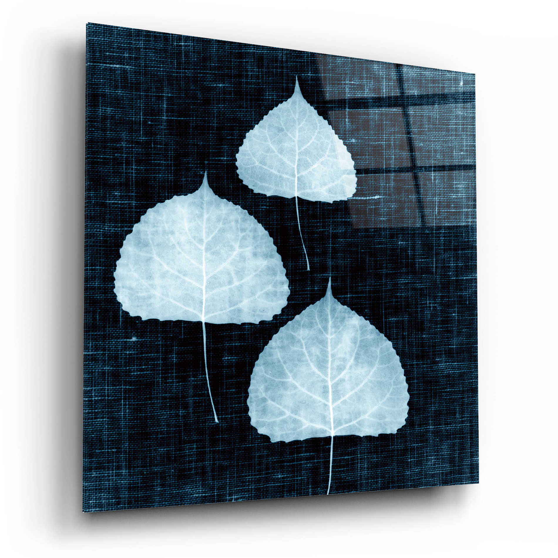 Epic Art 'Leaves on Linen III' by Debra Van Swearingen, Acrylic Glass Wall Art,12x12