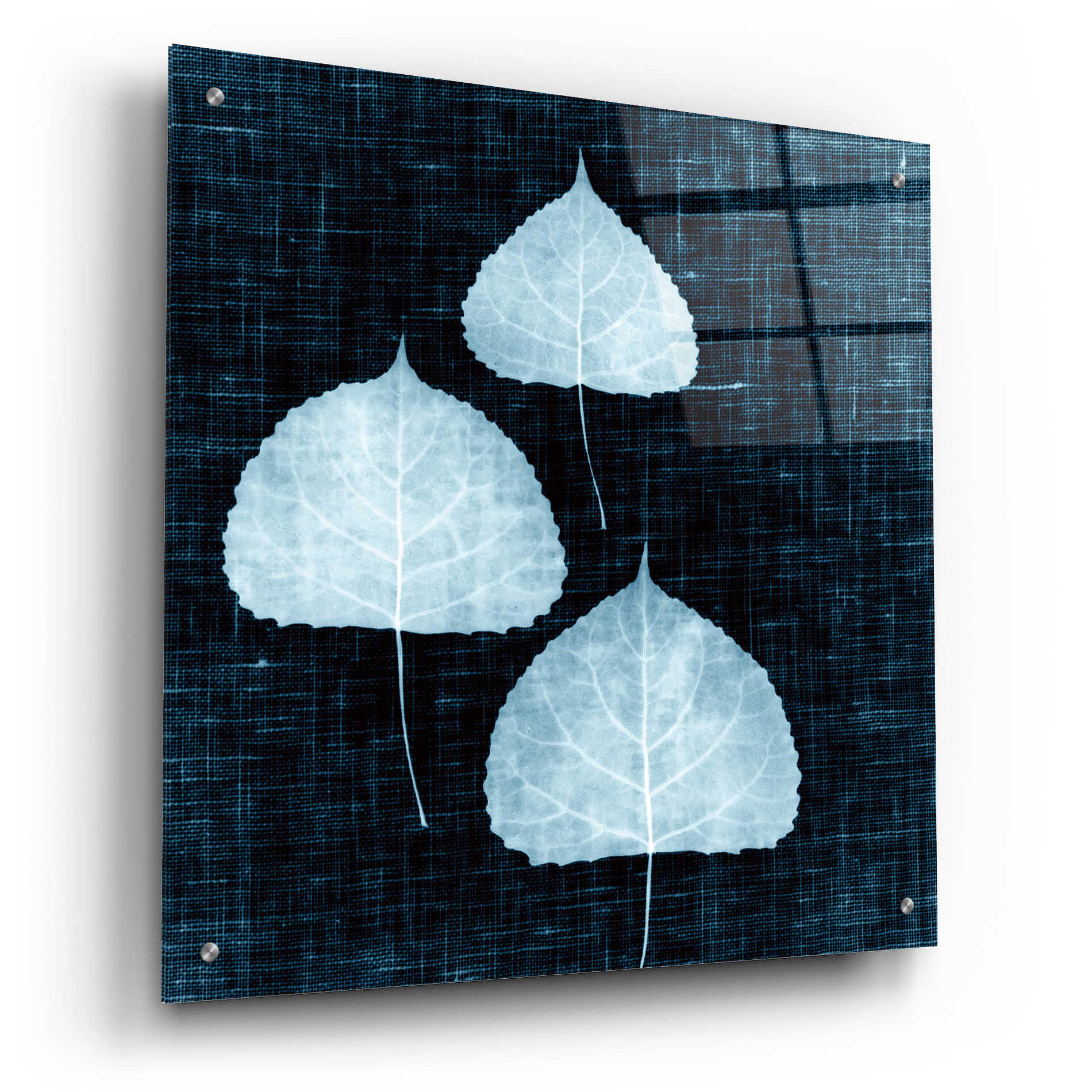 Epic Art 'Leaves on Linen III' by Debra Van Swearingen, Acrylic Glass Wall Art,24x24