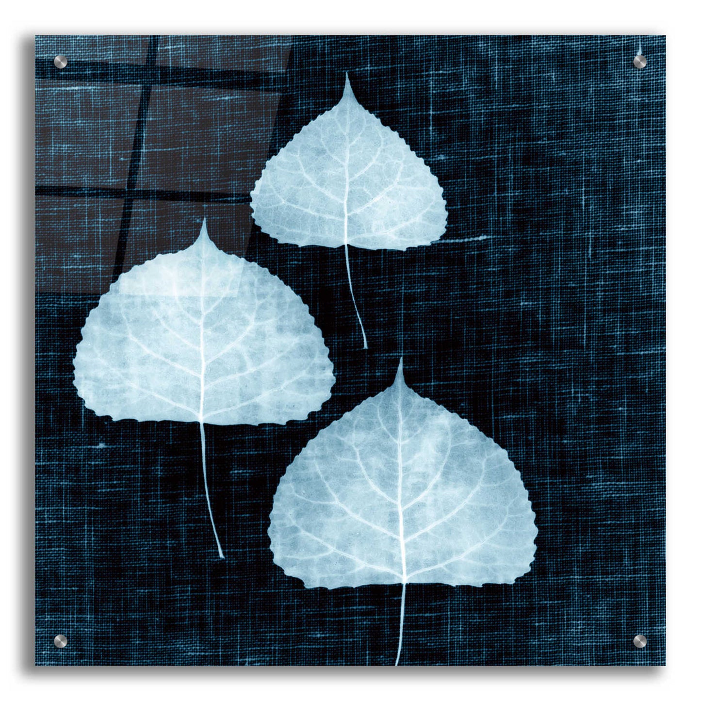 Epic Art 'Leaves on Linen III' by Debra Van Swearingen, Acrylic Glass Wall Art,24x24