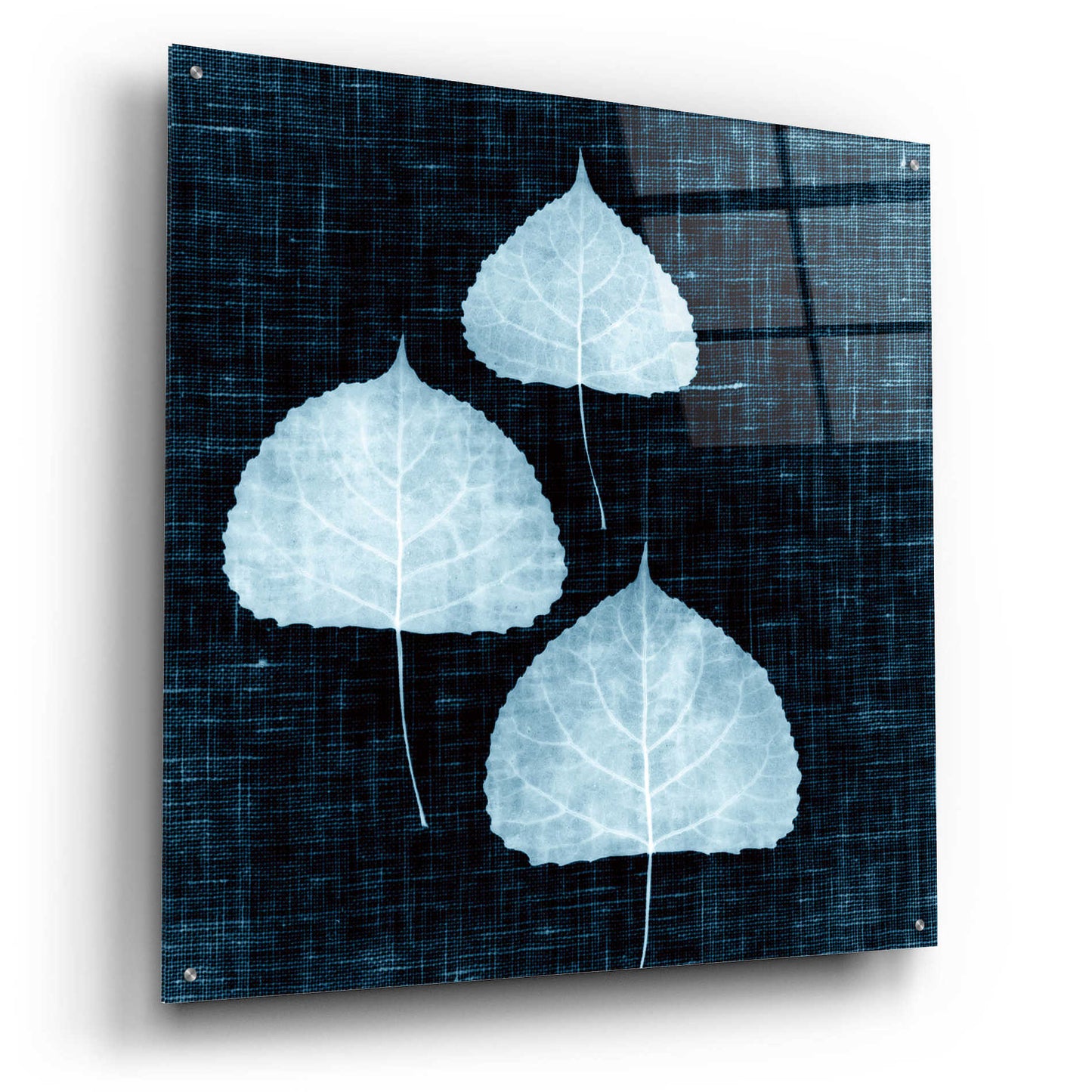 Epic Art 'Leaves on Linen III' by Debra Van Swearingen, Acrylic Glass Wall Art,36x36