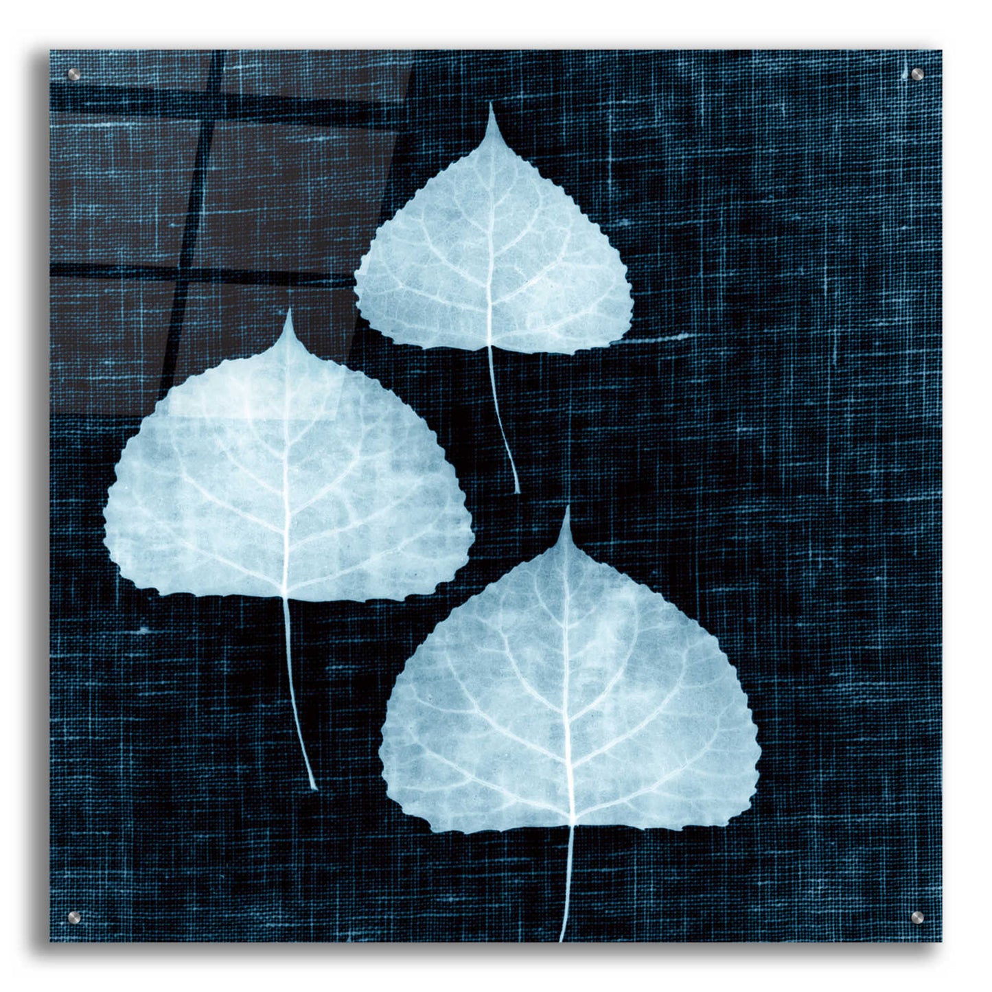 Epic Art 'Leaves on Linen III' by Debra Van Swearingen, Acrylic Glass Wall Art,36x36