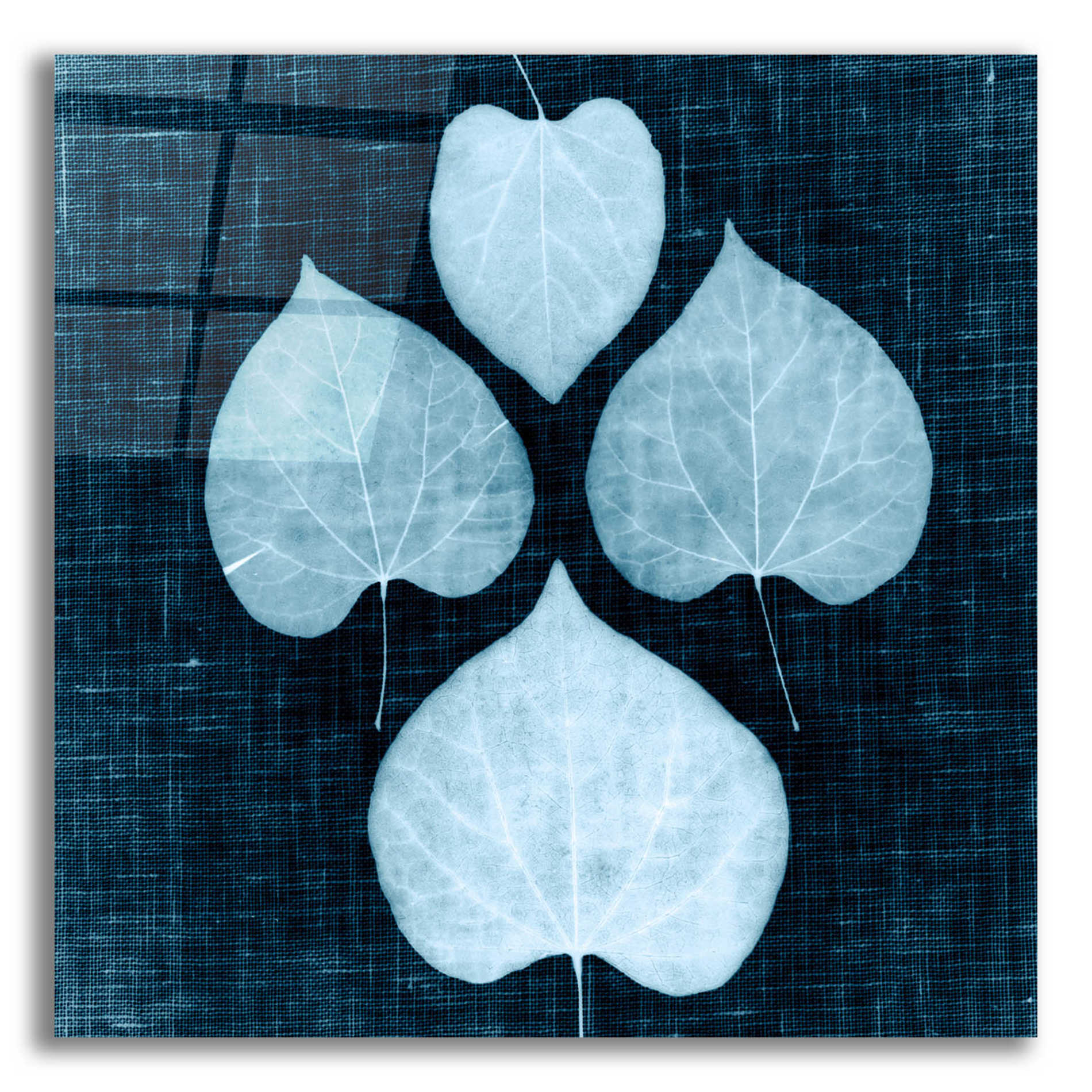 Epic Art 'Leaves on Linen IV' by Debra Van Swearingen, Acrylic Glass Wall Art,12x12