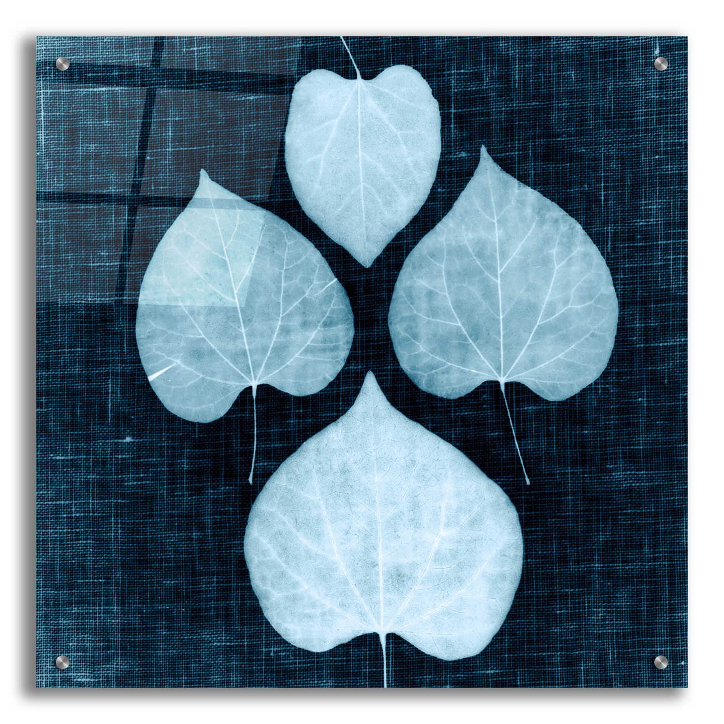 Epic Art 'Leaves on Linen IV' by Debra Van Swearingen, Acrylic Glass Wall Art,24x24