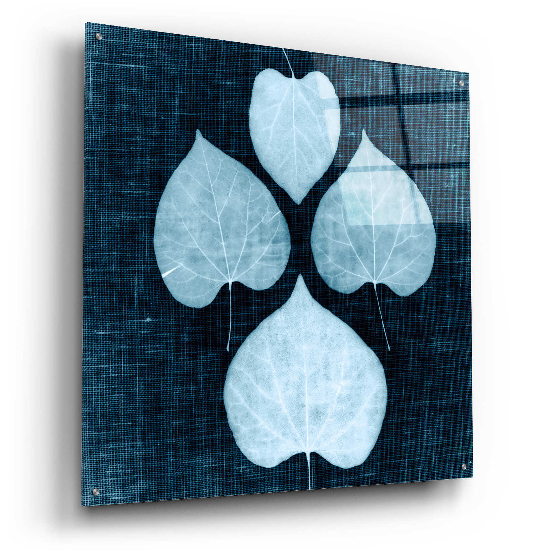 Epic Art 'Leaves on Linen IV' by Debra Van Swearingen, Acrylic Glass Wall Art,36x36