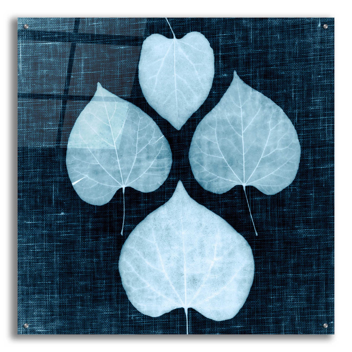 Epic Art 'Leaves on Linen IV' by Debra Van Swearingen, Acrylic Glass Wall Art,36x36