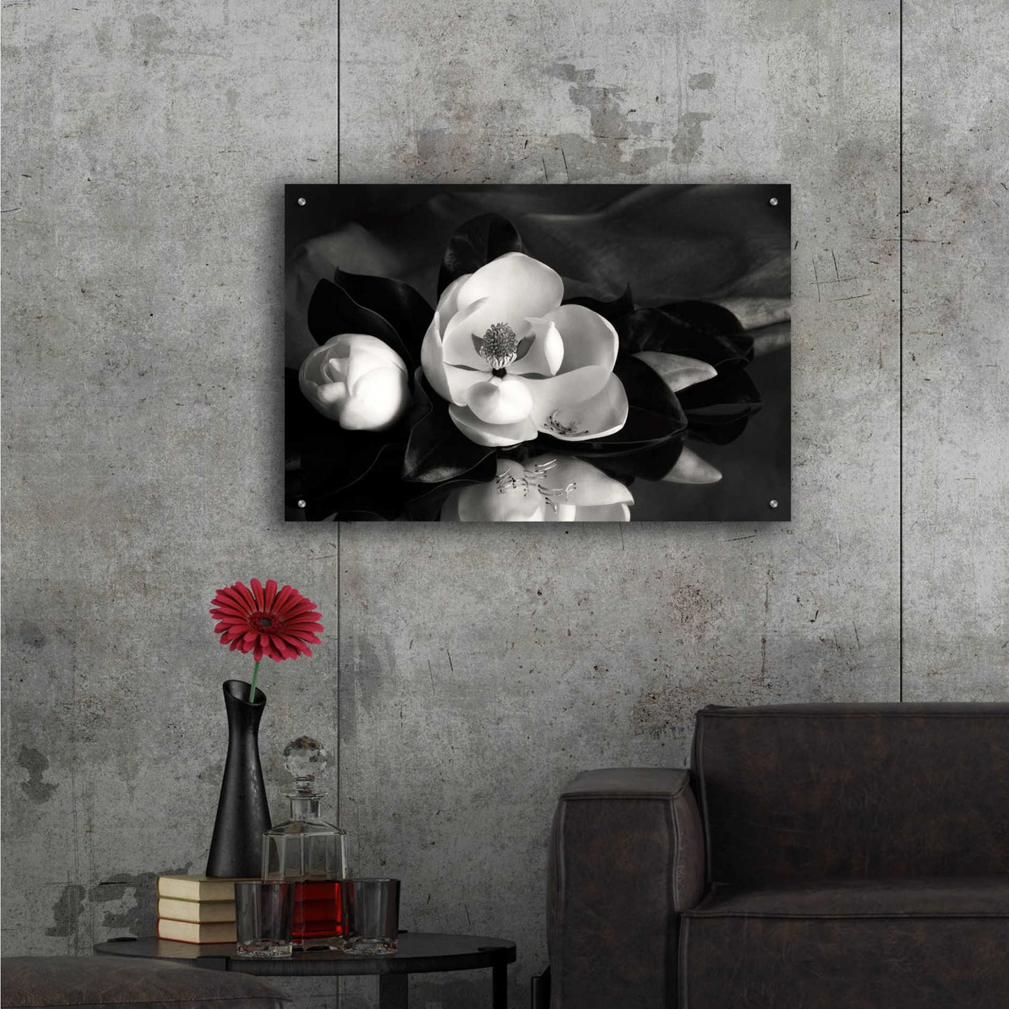 Epic Art 'Magnolia in Bloom' by Debra Van Swearingen, Acrylic Glass Wall Art,36x24