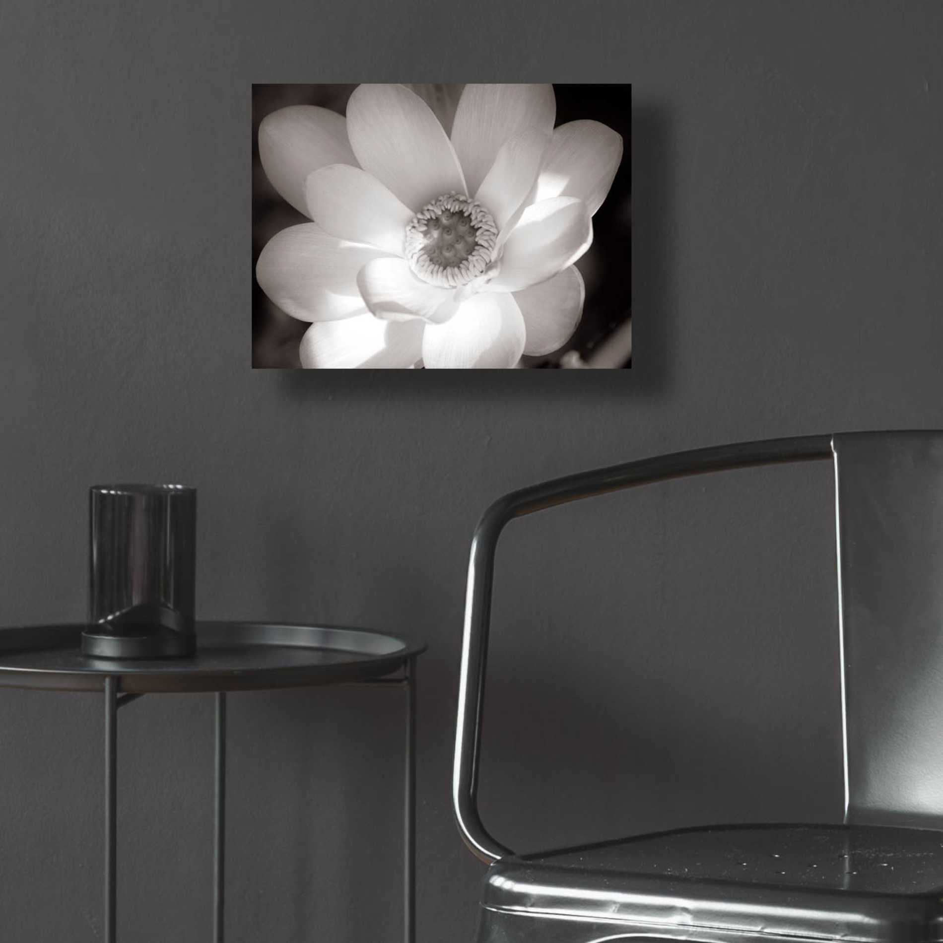 Epic Art 'Lotus Flower V' by Debra Van Swearingen, Acrylic Glass Wall Art,16x12