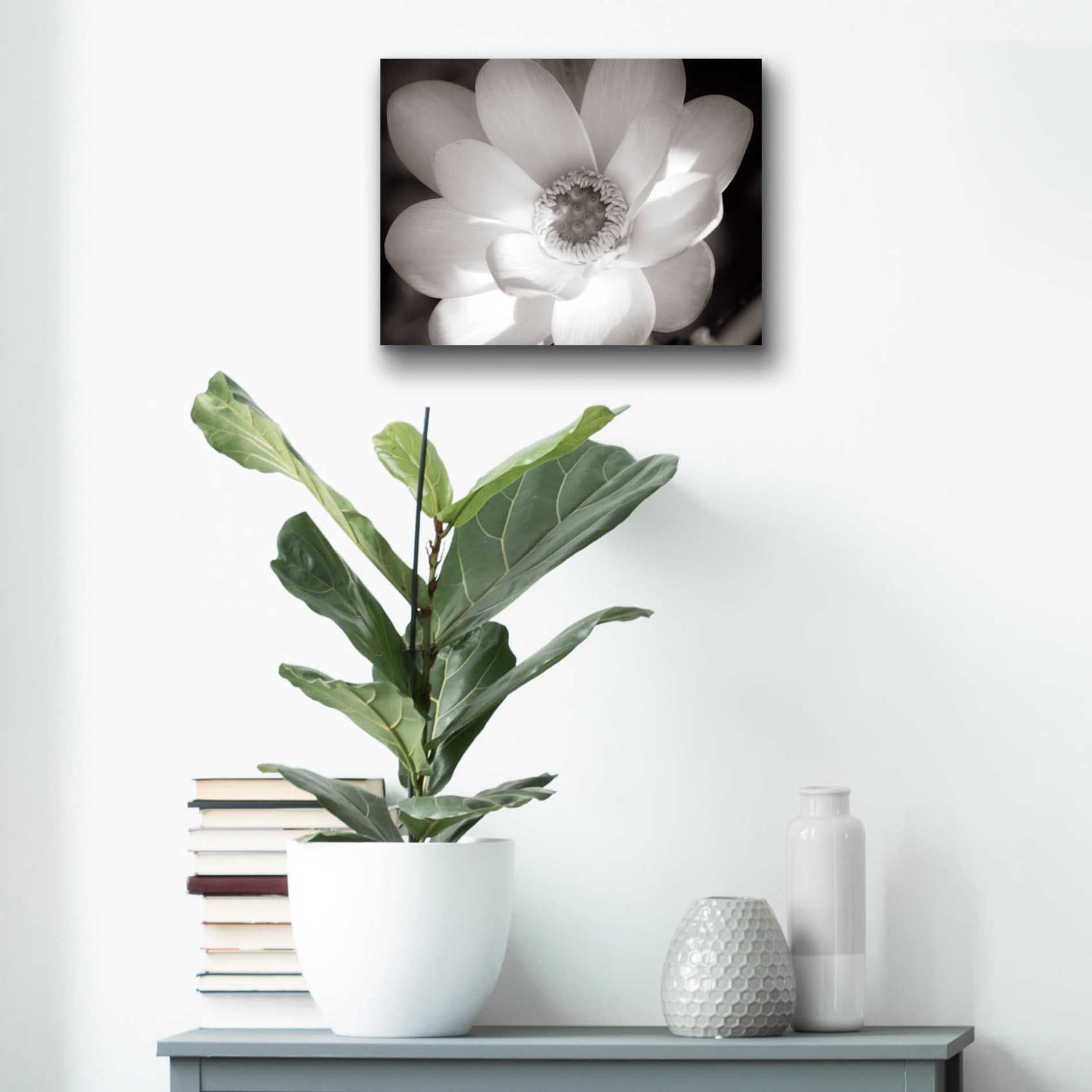 Epic Art 'Lotus Flower V' by Debra Van Swearingen, Acrylic Glass Wall Art,16x12