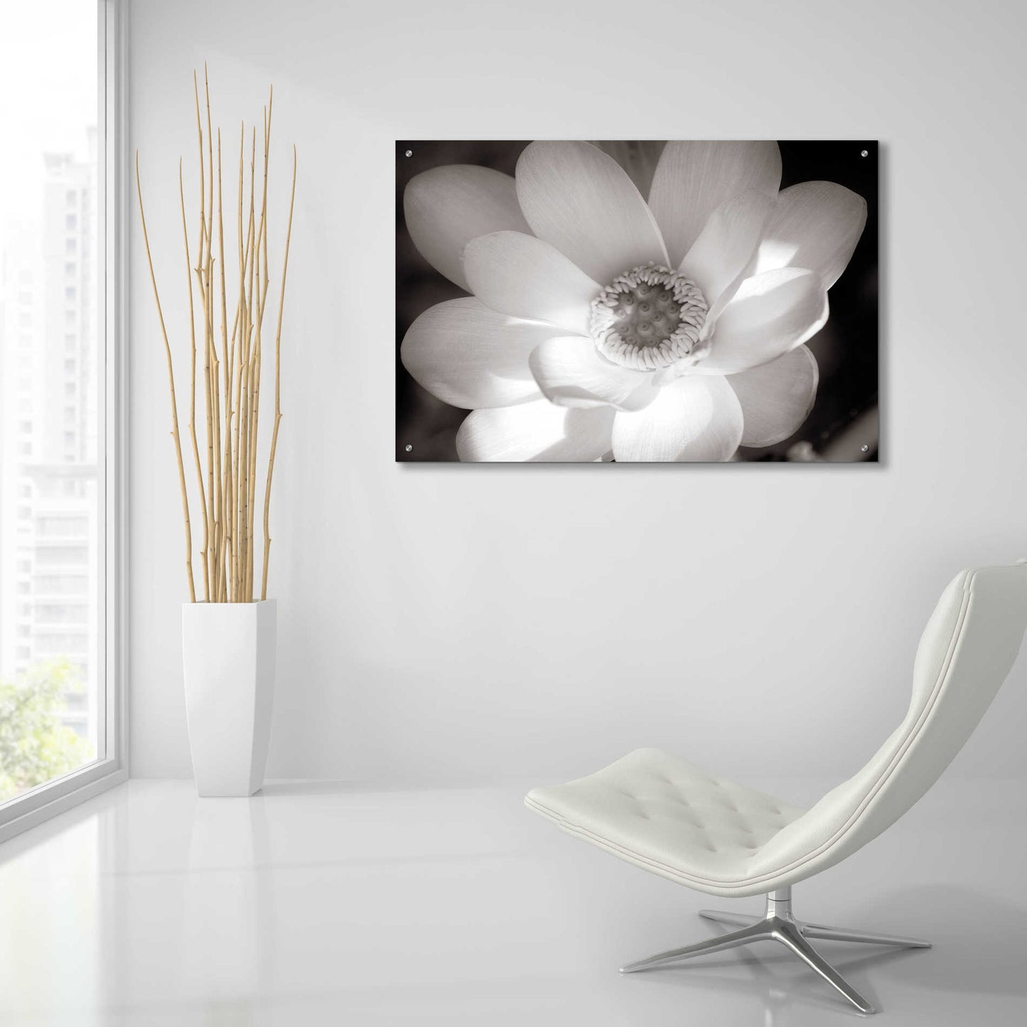 Epic Art 'Lotus Flower V' by Debra Van Swearingen, Acrylic Glass Wall Art,36x24