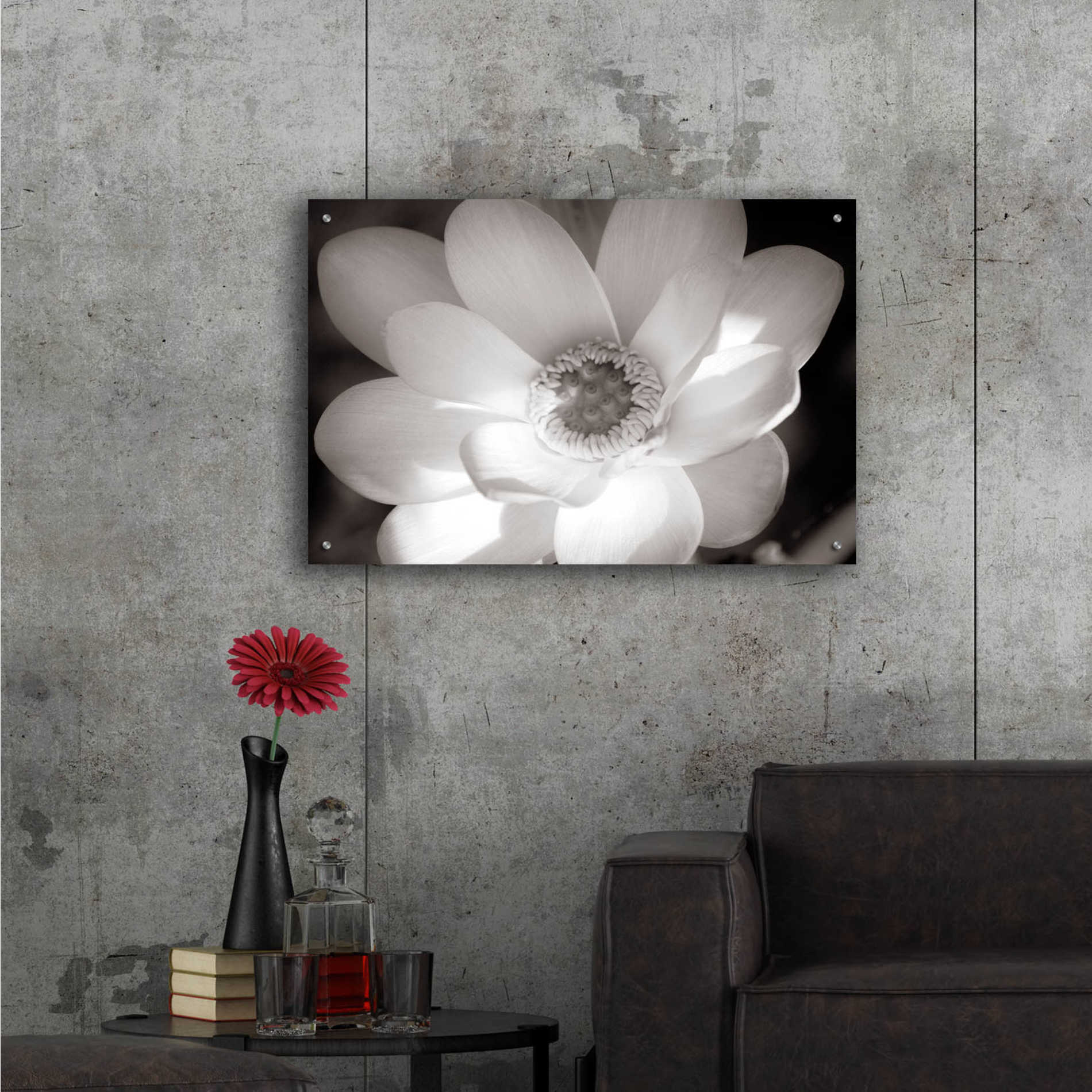 Epic Art 'Lotus Flower V' by Debra Van Swearingen, Acrylic Glass Wall Art,36x24