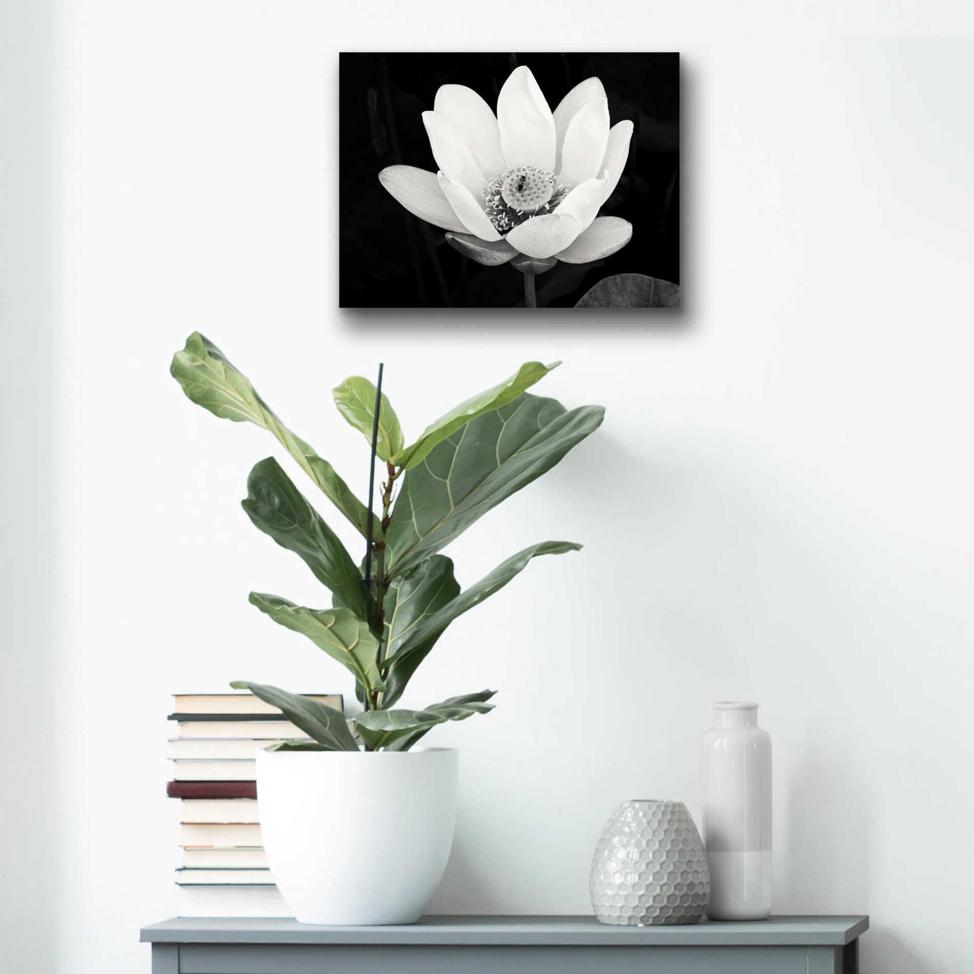 Epic Art 'Lotus Flower I v2' by Debra Van Swearingen, Acrylic Glass Wall Art,16x12