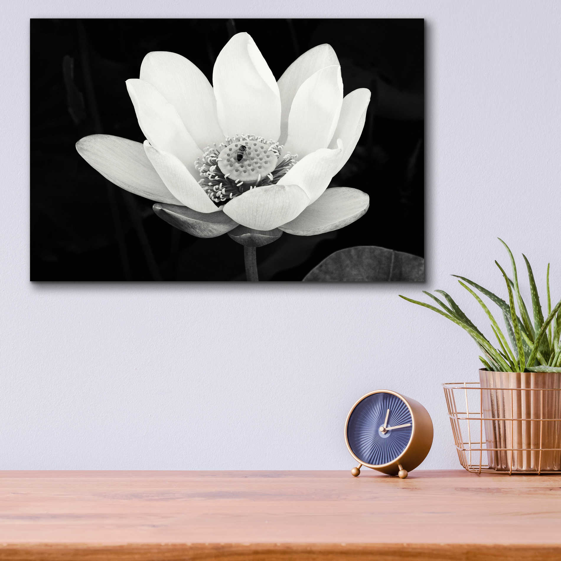 Epic Art 'Lotus Flower I v2' by Debra Van Swearingen, Acrylic Glass Wall Art,16x12