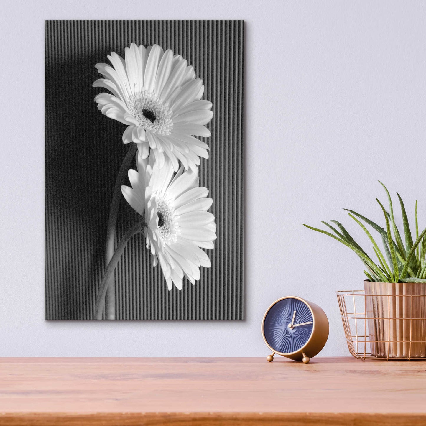 Epic Art 'Fresh Cut Daisy I' by Debra Van Swearingen, Acrylic Glass Wall Art,12x16