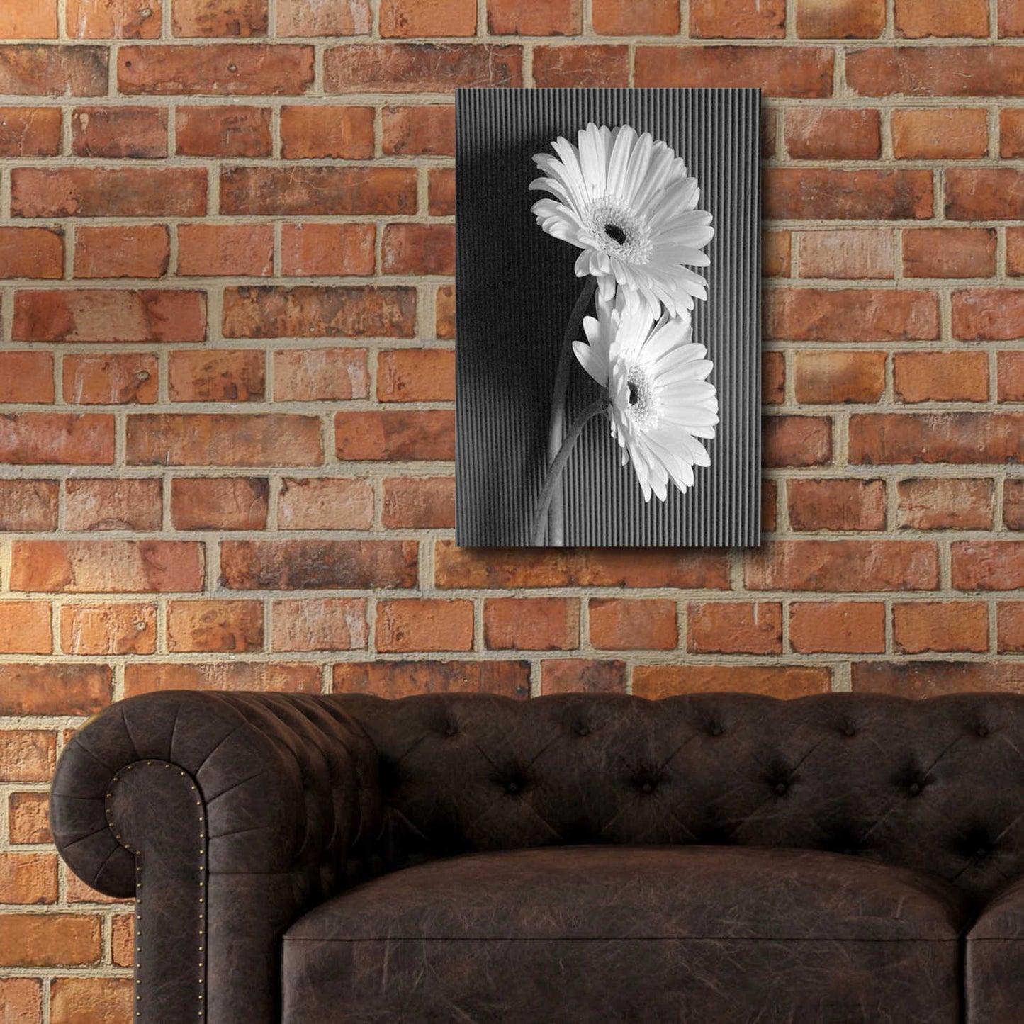 Epic Art 'Fresh Cut Daisy I' by Debra Van Swearingen, Acrylic Glass Wall Art,16x24