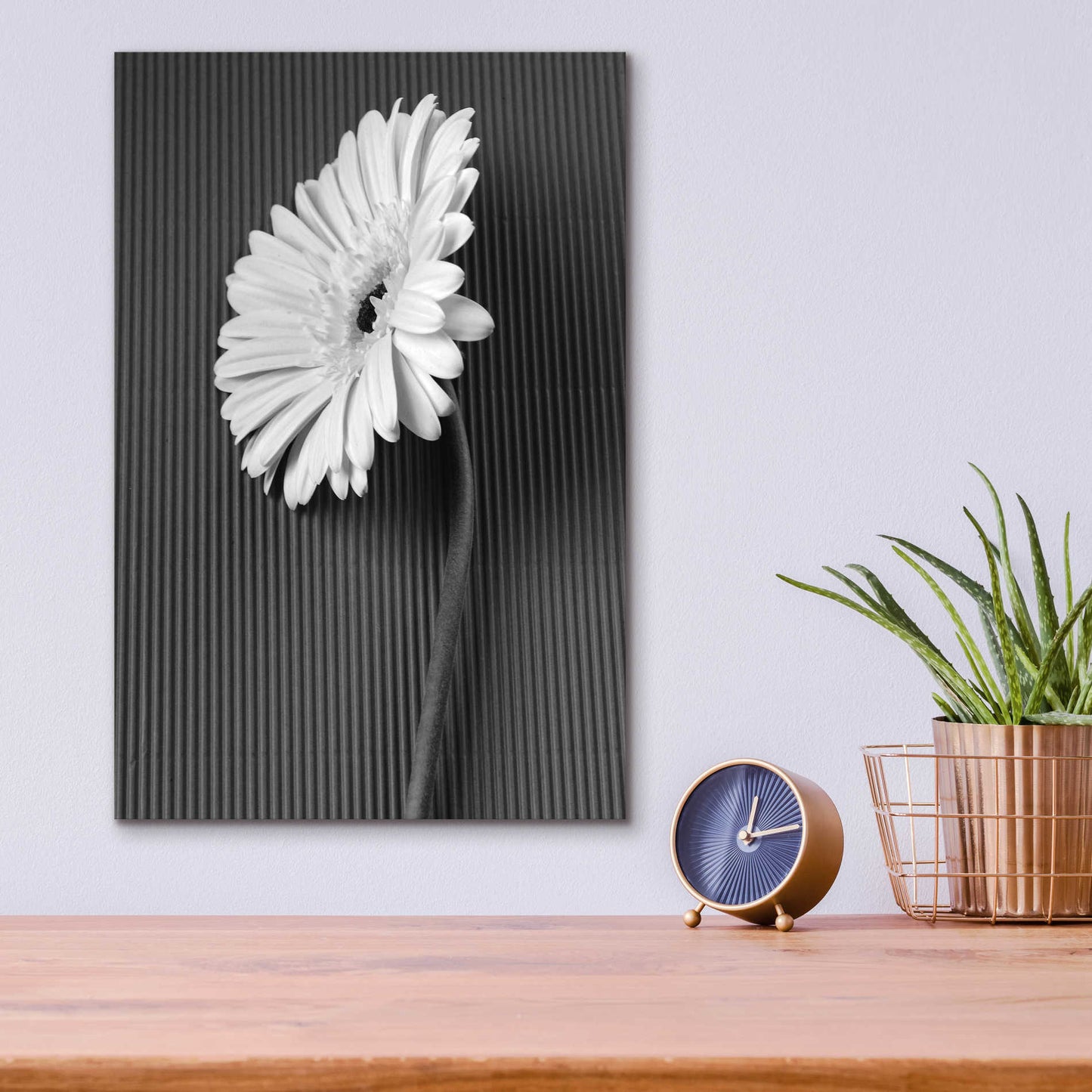 Epic Art 'Fresh Cut Daisy II' by Debra Van Swearingen, Acrylic Glass Wall Art,12x16