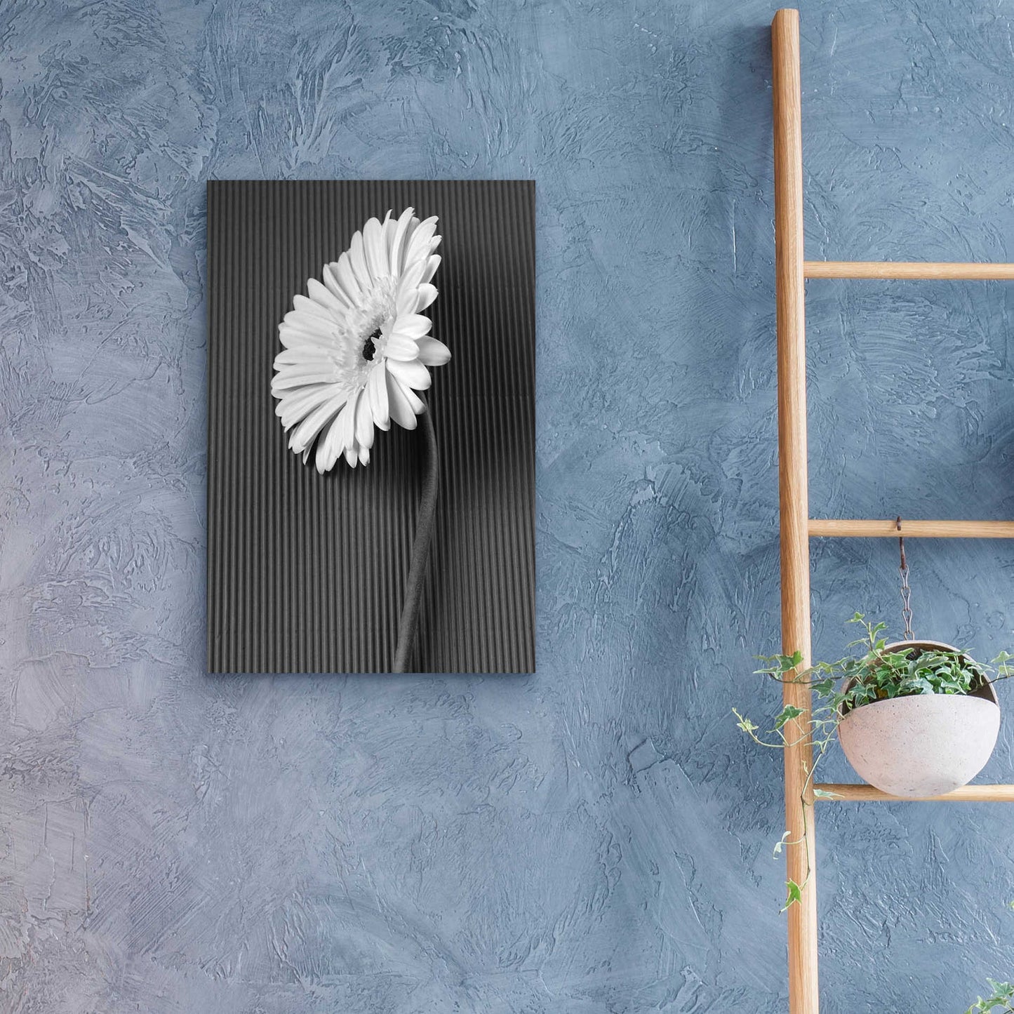 Epic Art 'Fresh Cut Daisy II' by Debra Van Swearingen, Acrylic Glass Wall Art,16x24