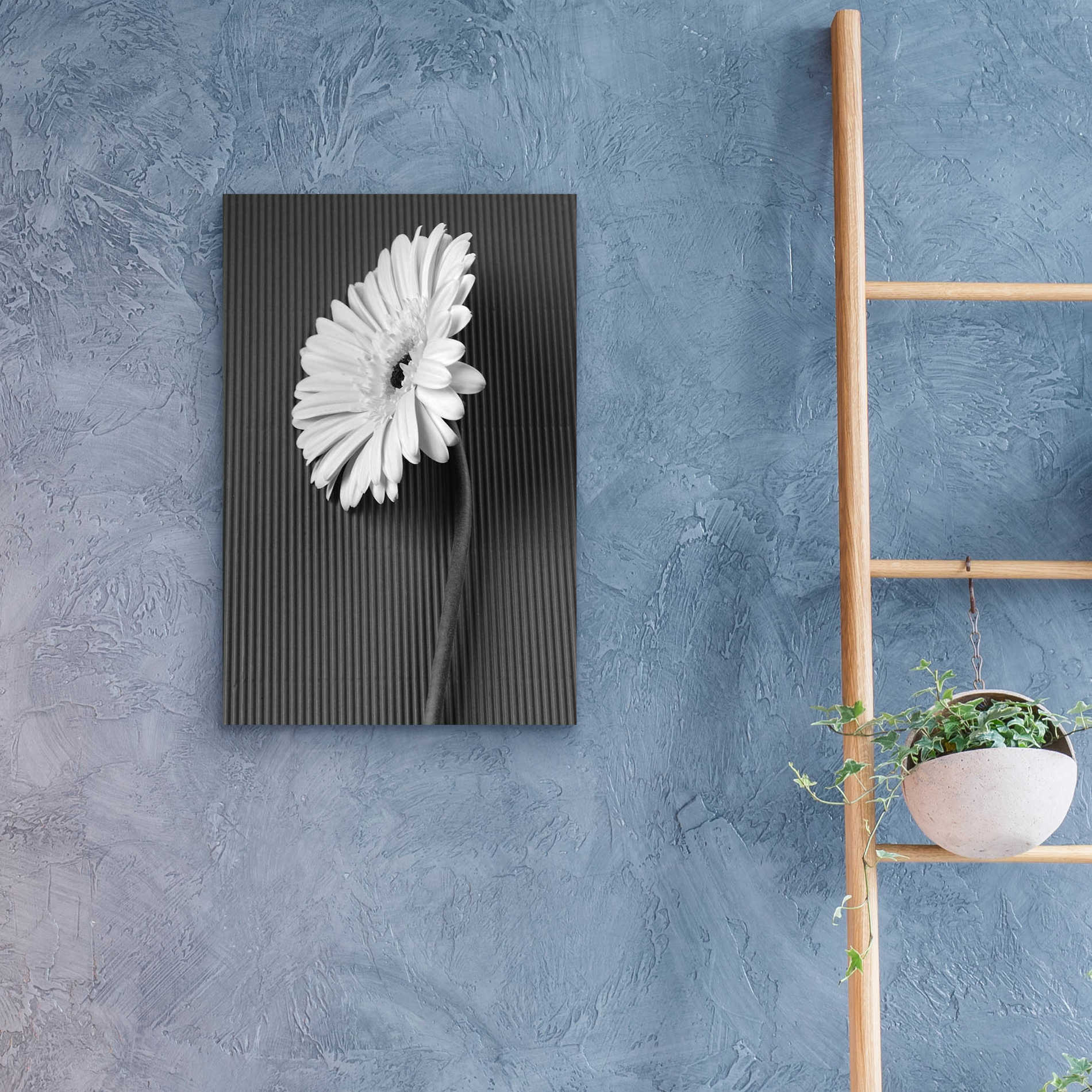 Epic Art 'Fresh Cut Daisy II' by Debra Van Swearingen, Acrylic Glass Wall Art,16x24