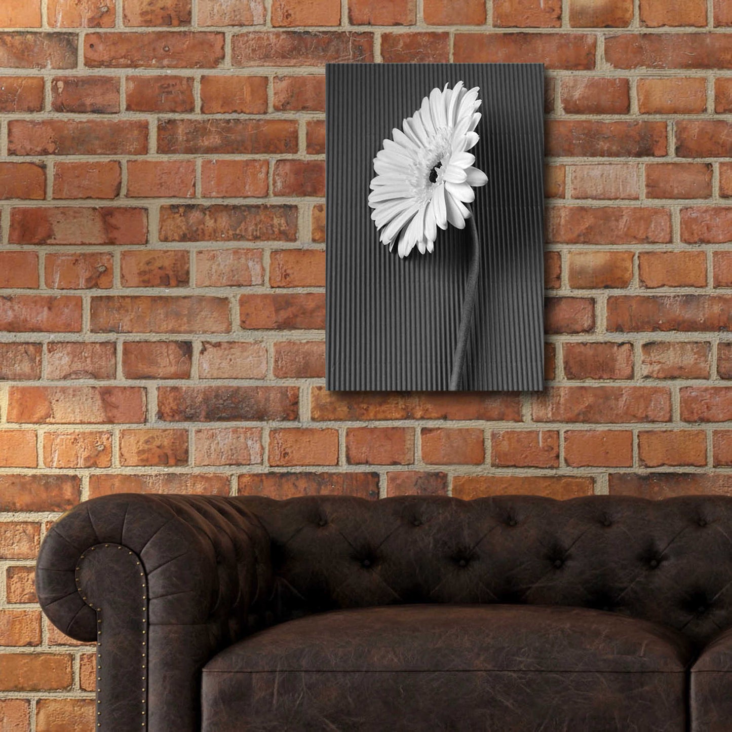 Epic Art 'Fresh Cut Daisy II' by Debra Van Swearingen, Acrylic Glass Wall Art,16x24