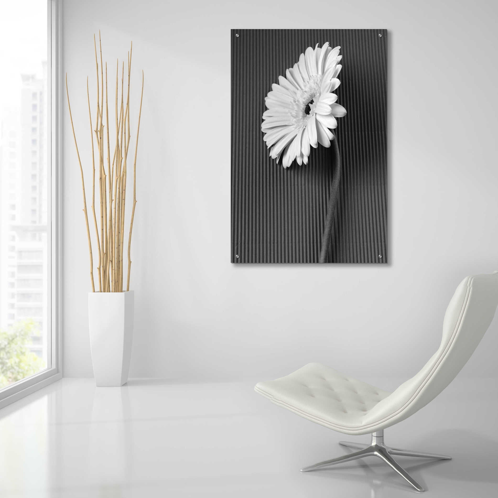 Epic Art 'Fresh Cut Daisy II' by Debra Van Swearingen, Acrylic Glass Wall Art,24x36