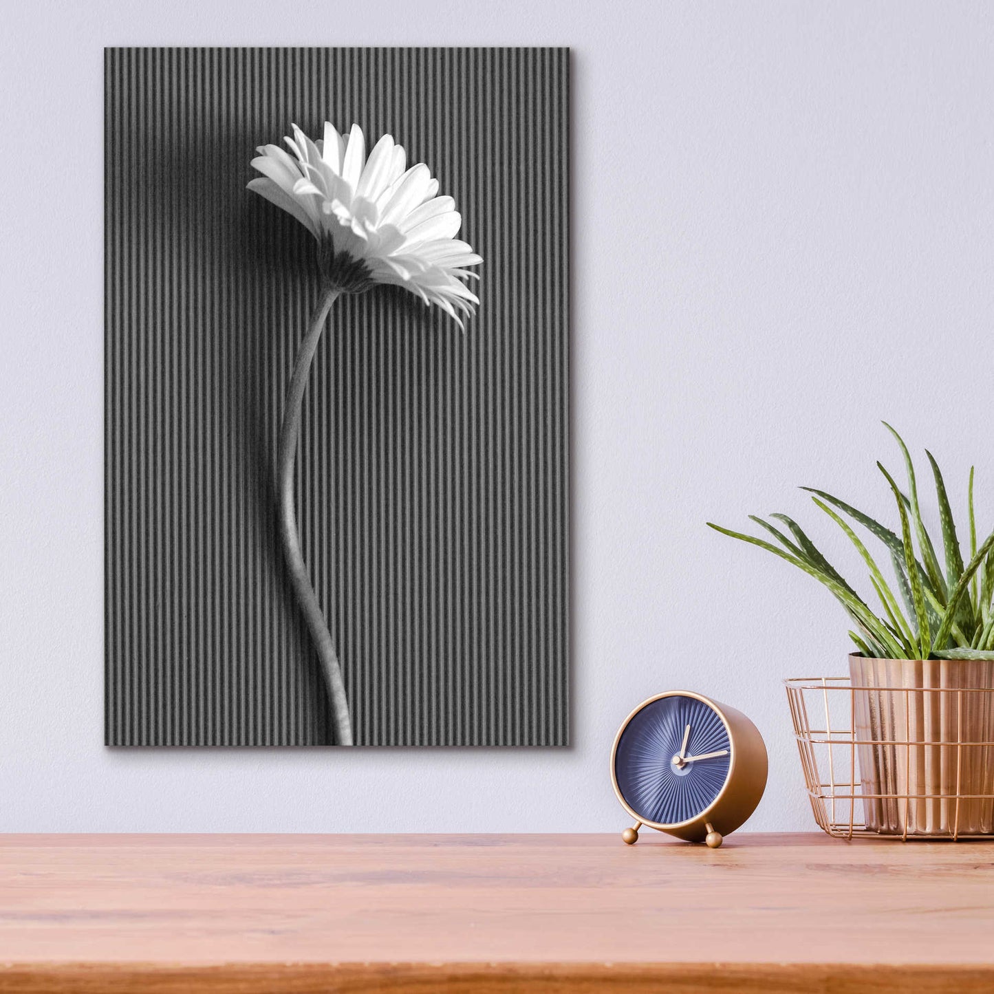 Epic Art 'Fresh Cut Daisy III' by Debra Van Swearingen, Acrylic Glass Wall Art,12x16