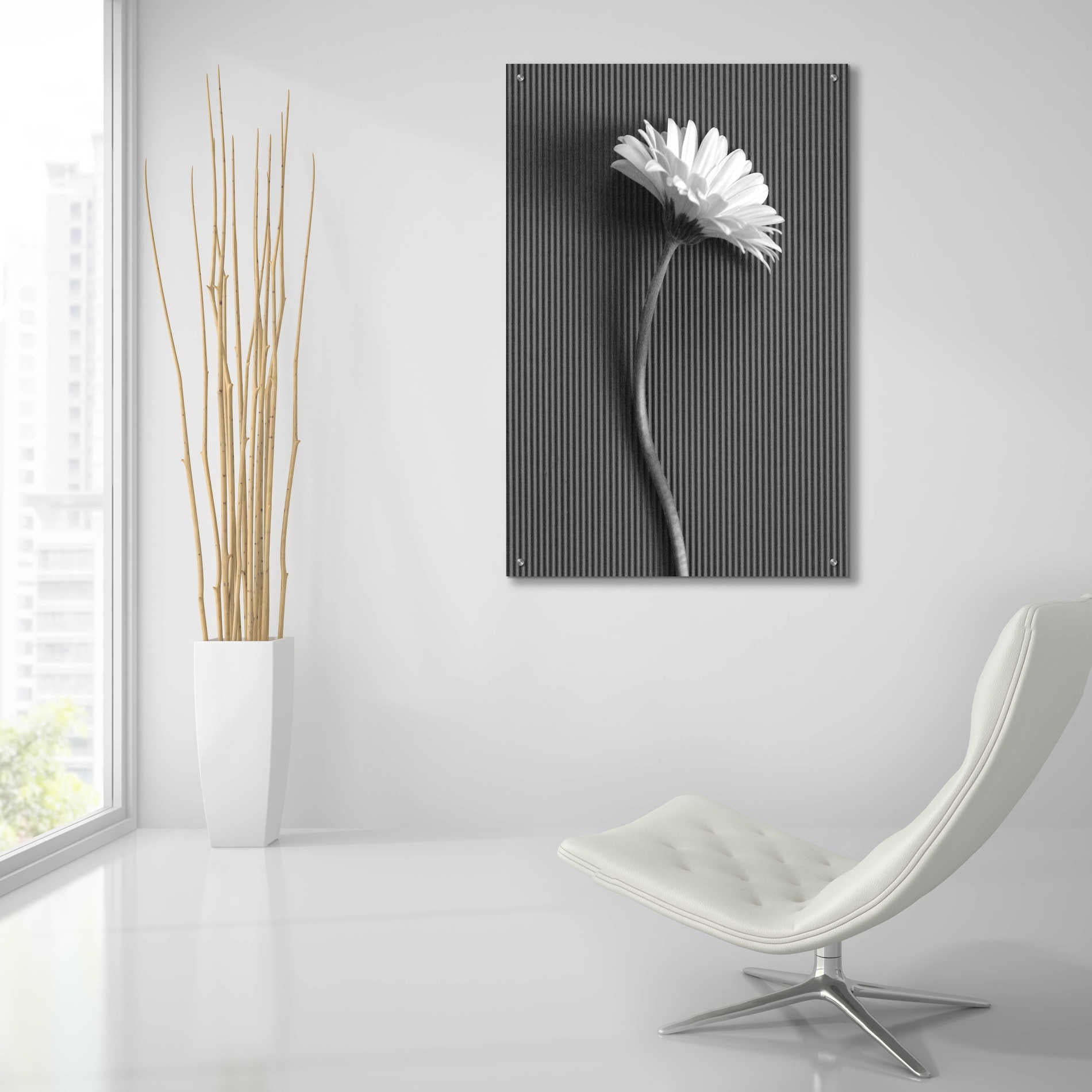 Epic Art 'Fresh Cut Daisy III' by Debra Van Swearingen, Acrylic Glass Wall Art,24x36