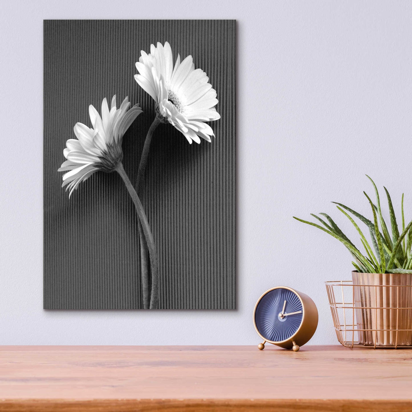 Epic Art 'Fresh Cut Daisy IV' by Debra Van Swearingen, Acrylic Glass Wall Art,12x16