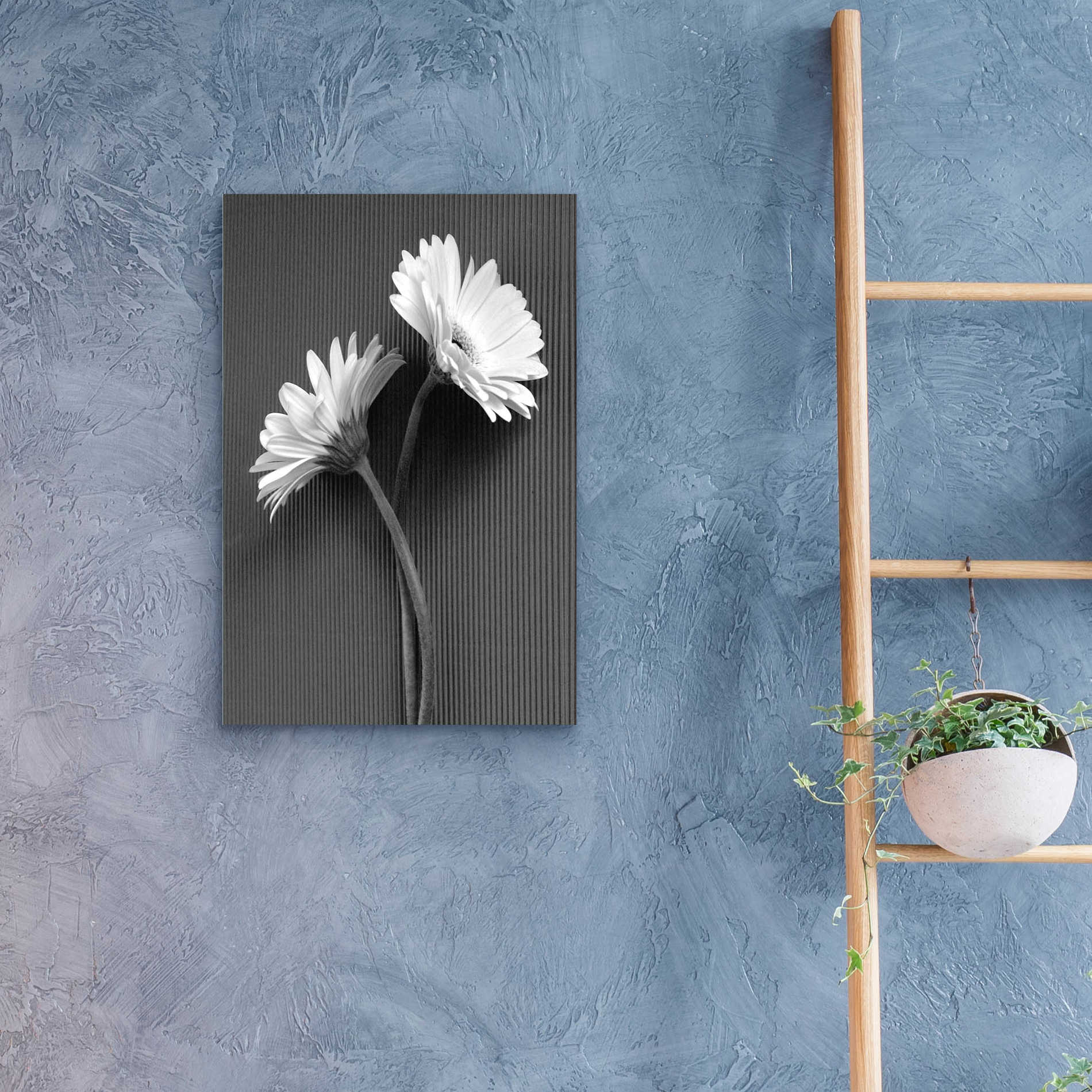 Epic Art 'Fresh Cut Daisy IV' by Debra Van Swearingen, Acrylic Glass Wall Art,16x24