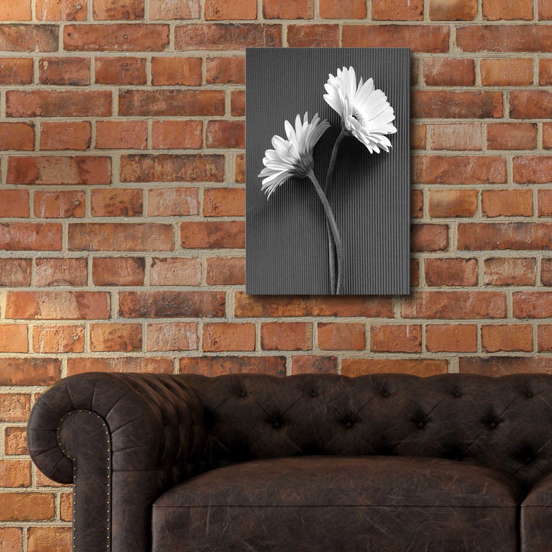 Epic Art 'Fresh Cut Daisy IV' by Debra Van Swearingen, Acrylic Glass Wall Art,16x24