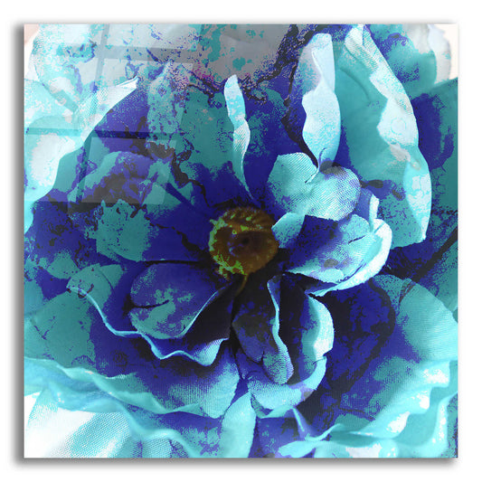 Epic Art 'Blue Flower' by Shandra Smith, Acrylic Glass Wall Art,12x12x1.1x0,18x18x1.1x0,26x26x1.74x0,37x37x1.74x0