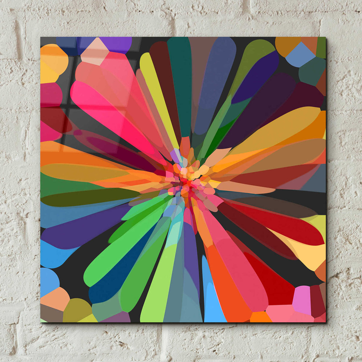 Epic Art 'Flower 12' by Shandra Smith, Acrylic Glass Wall Art,12x12