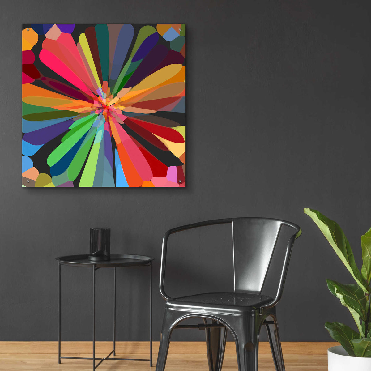 Epic Art 'Flower 12' by Shandra Smith, Acrylic Glass Wall Art,36x36