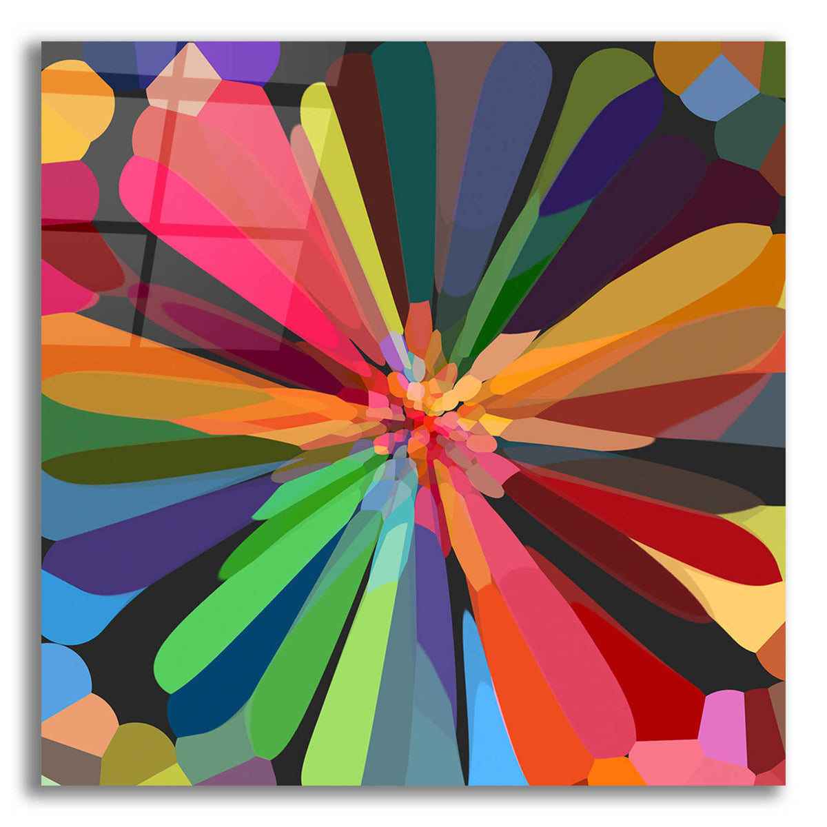 Epic Art 'Flower 12' by Shandra Smith, Acrylic Glass Wall Art,12x12x1.1x0,18x18x1.1x0,26x26x1.74x0,37x37x1.74x0