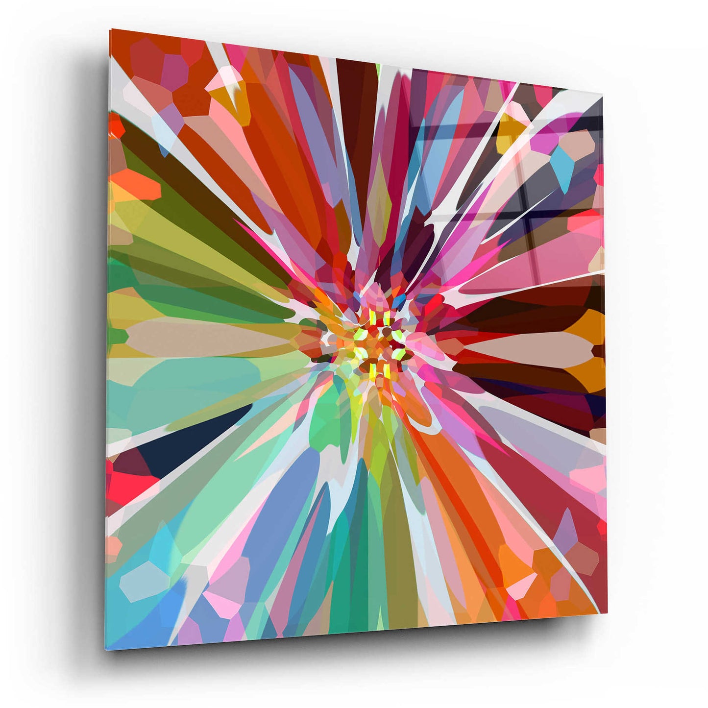 Epic Art 'Flower 16' by Shandra Smith, Acrylic Glass Wall Art,12x12