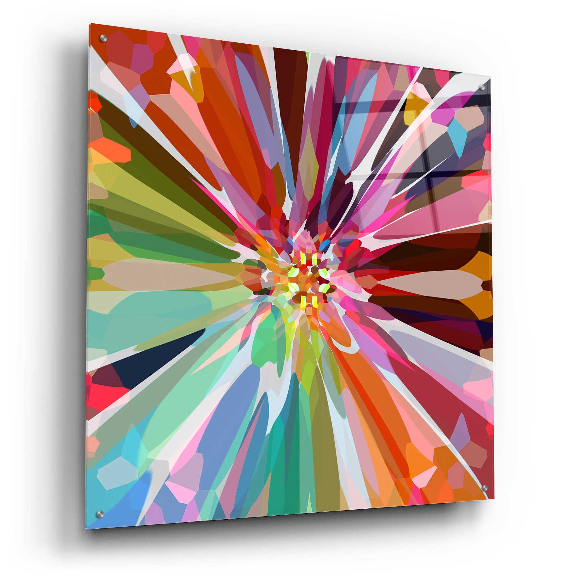 Epic Art 'Flower 16' by Shandra Smith, Acrylic Glass Wall Art,36x36