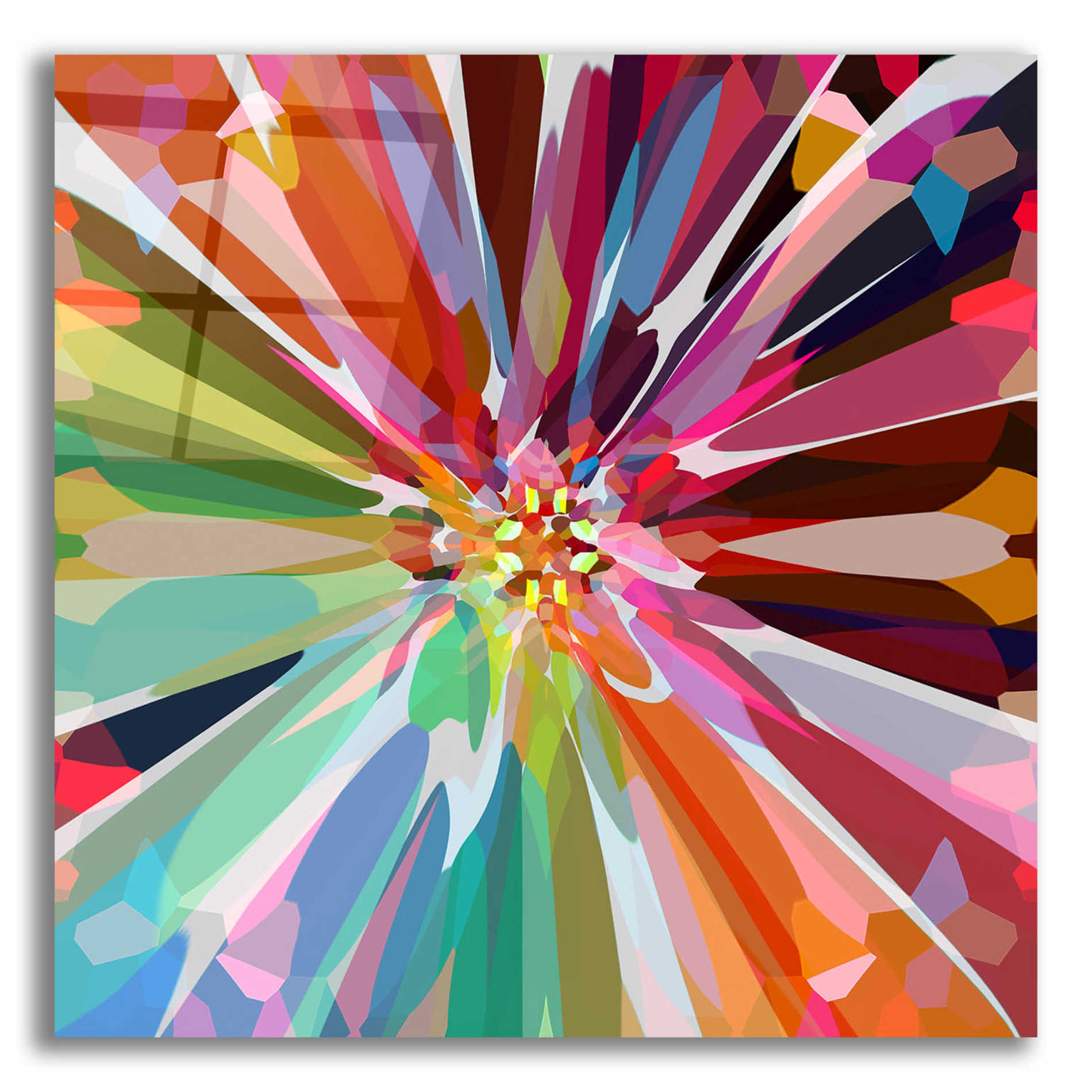 Epic Art 'Flower 16' by Shandra Smith, Acrylic Glass Wall Art,12x12x1.1x0,18x18x1.1x0,26x26x1.74x0,37x37x1.74x0