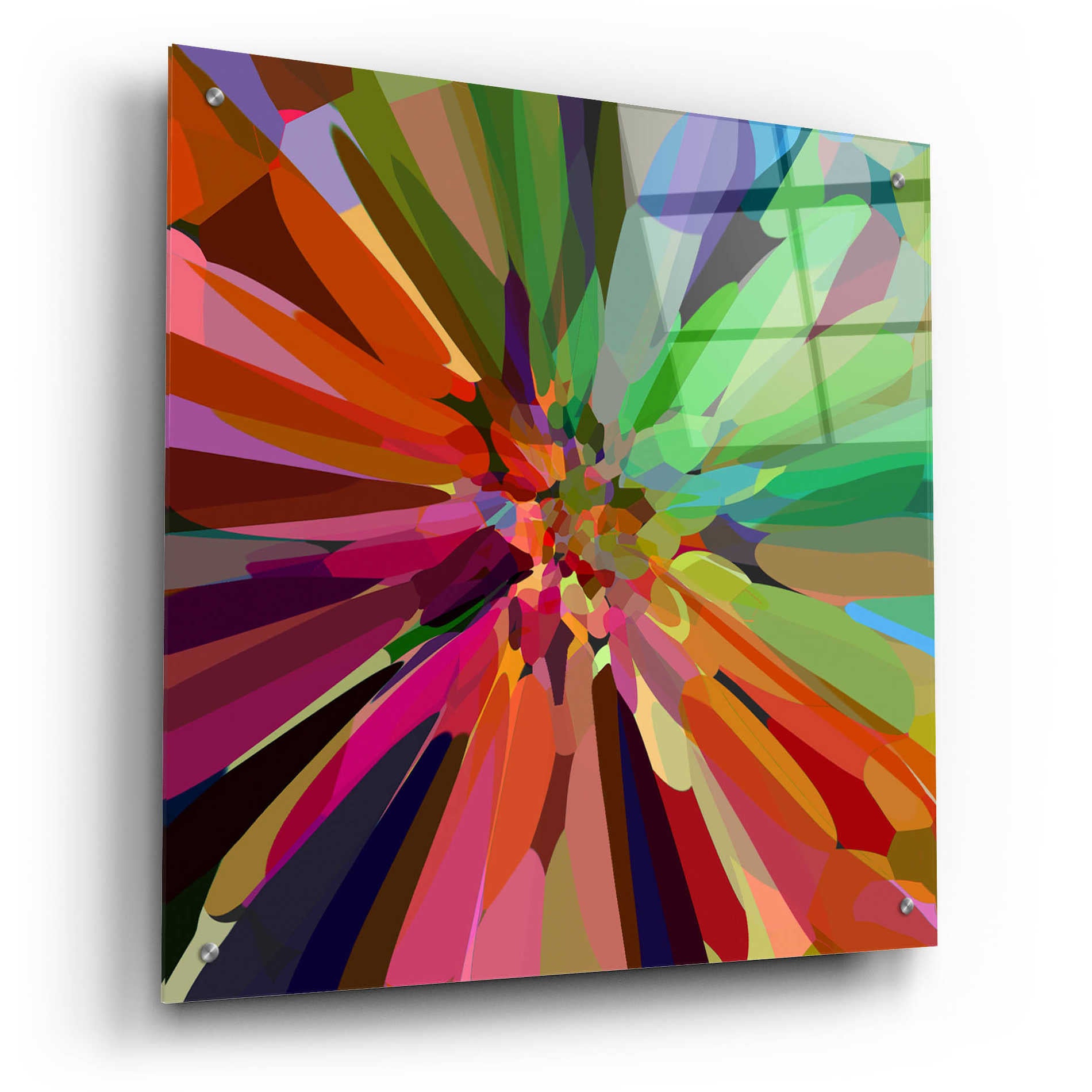 Epic Art 'Flower 27 ' by Shandra Smith, Acrylic Glass Wall Art,24x24