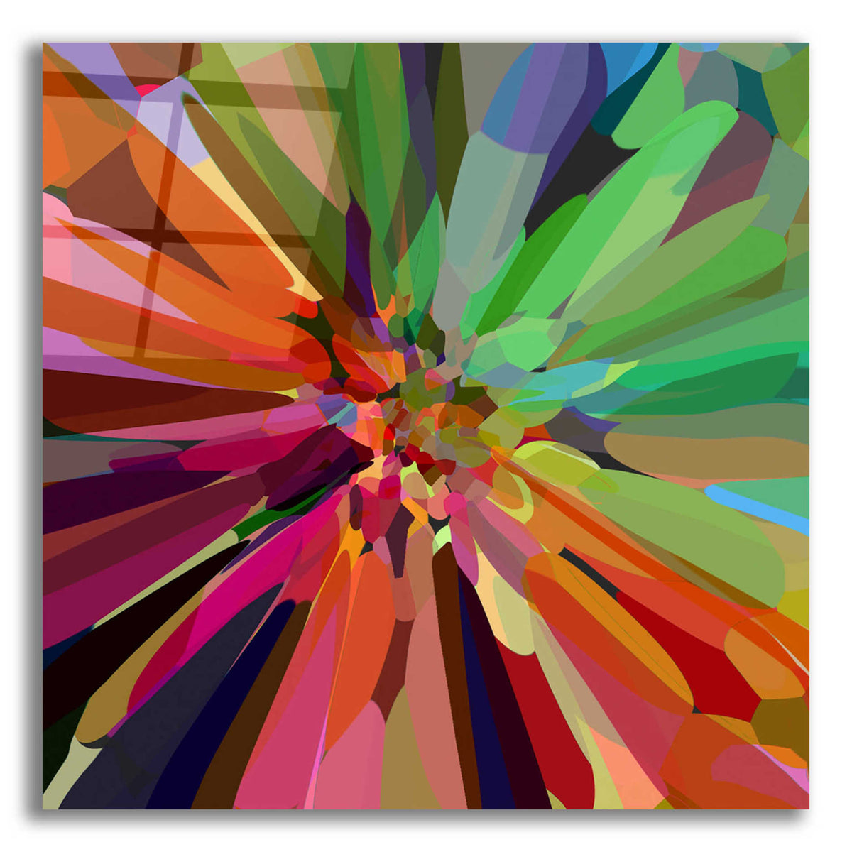 Epic Art 'Flower 27 ' by Shandra Smith, Acrylic Glass Wall Art,12x12x1.1x0,18x18x1.1x0,26x26x1.74x0,37x37x1.74x0
