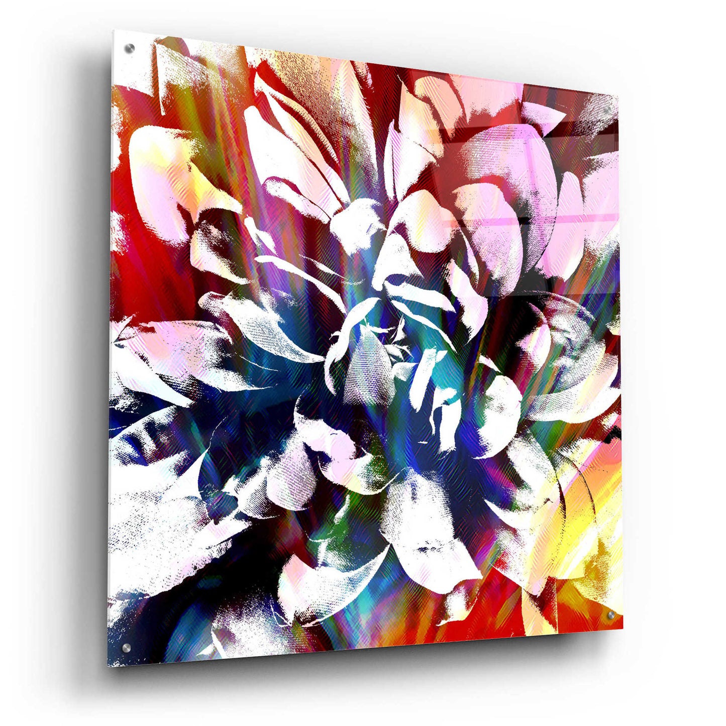 Epic Art 'Flower Power' by Shandra Smith, Acrylic Glass Wall Art,36x36